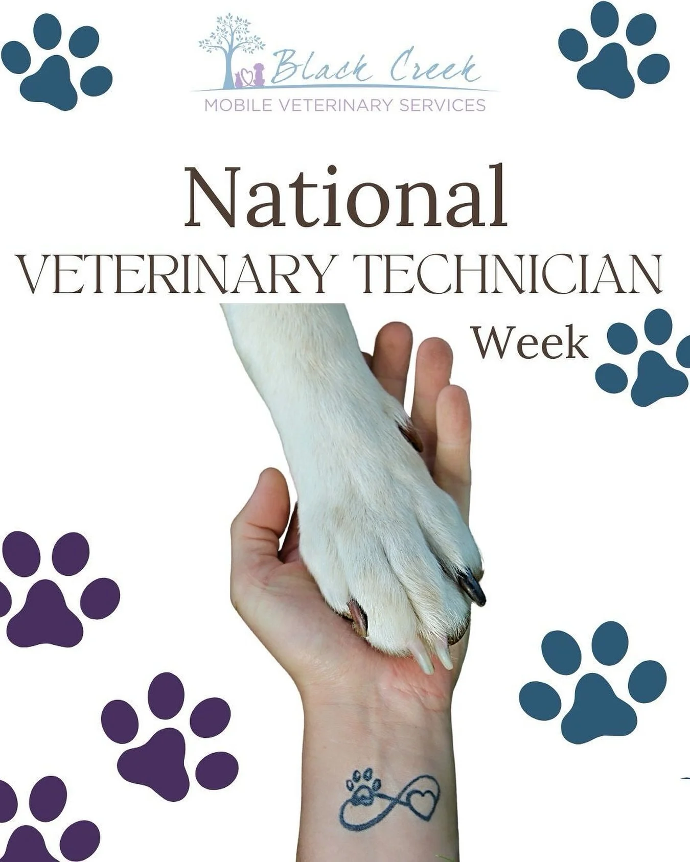 Veterinary Technician Week ✨
This week, we take a moment to honour and celebrate the incredible Veterinary Technicians who bring compassion, skill and dedication to the world of veterinary medicine.🫶🏼
We have deep respect for the essential role t