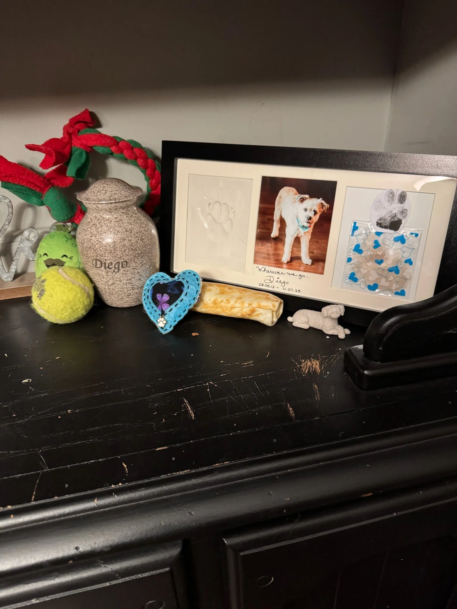 Diego-Tribe Display.jpeg