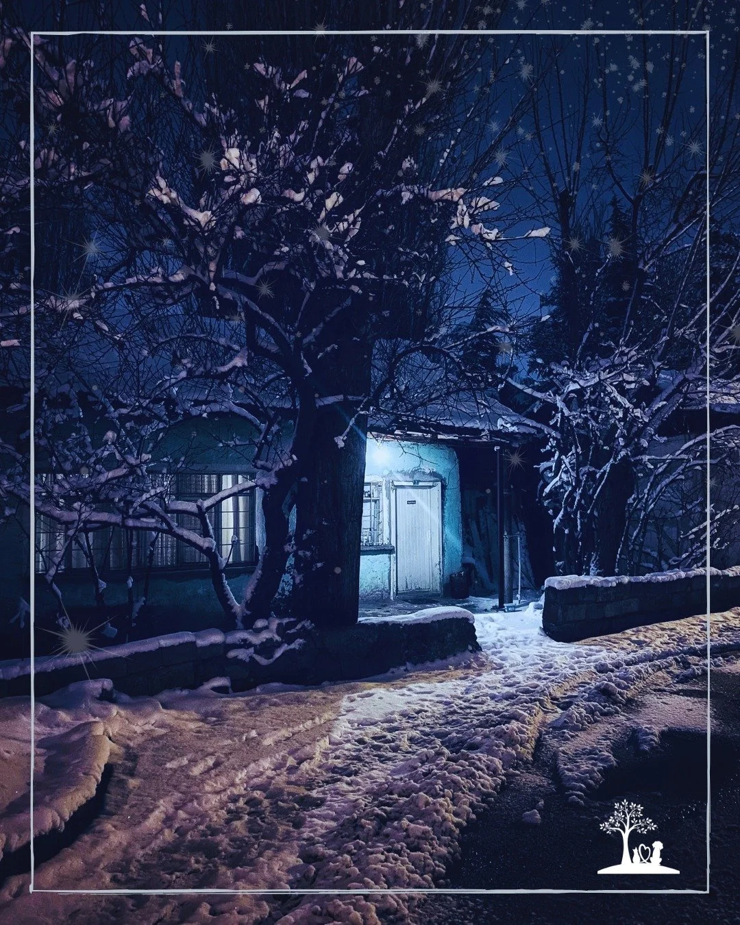 ❄ As the days grow darker and the cold settles in, many pets begin to slow down. Winter can make their aches heavier and their comfort more fragile. Home becomes their safest place &mdash; a warm light, familiar footsteps, the people they love close 