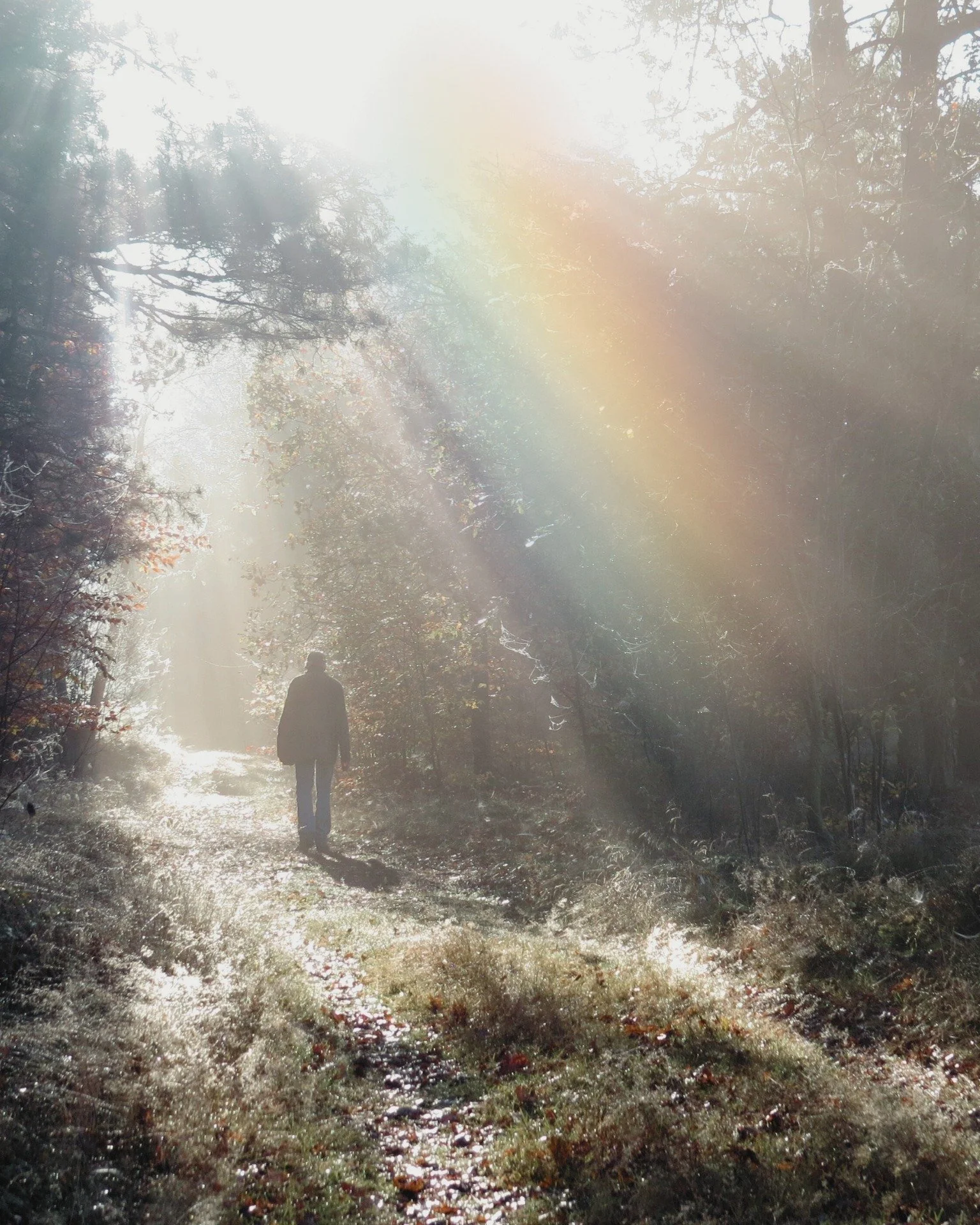 💔🐾Grief after losing a beloved pet doesn&rsquo;t follow a timeline.
If you&rsquo;re still finding your way through, it&rsquo;s okay.
Be gentle with yourself. 🌈

#PetLoss #GriefJourney #PetBereavement #YouAreNotAlone #PetLossGriefSupport #griefquot