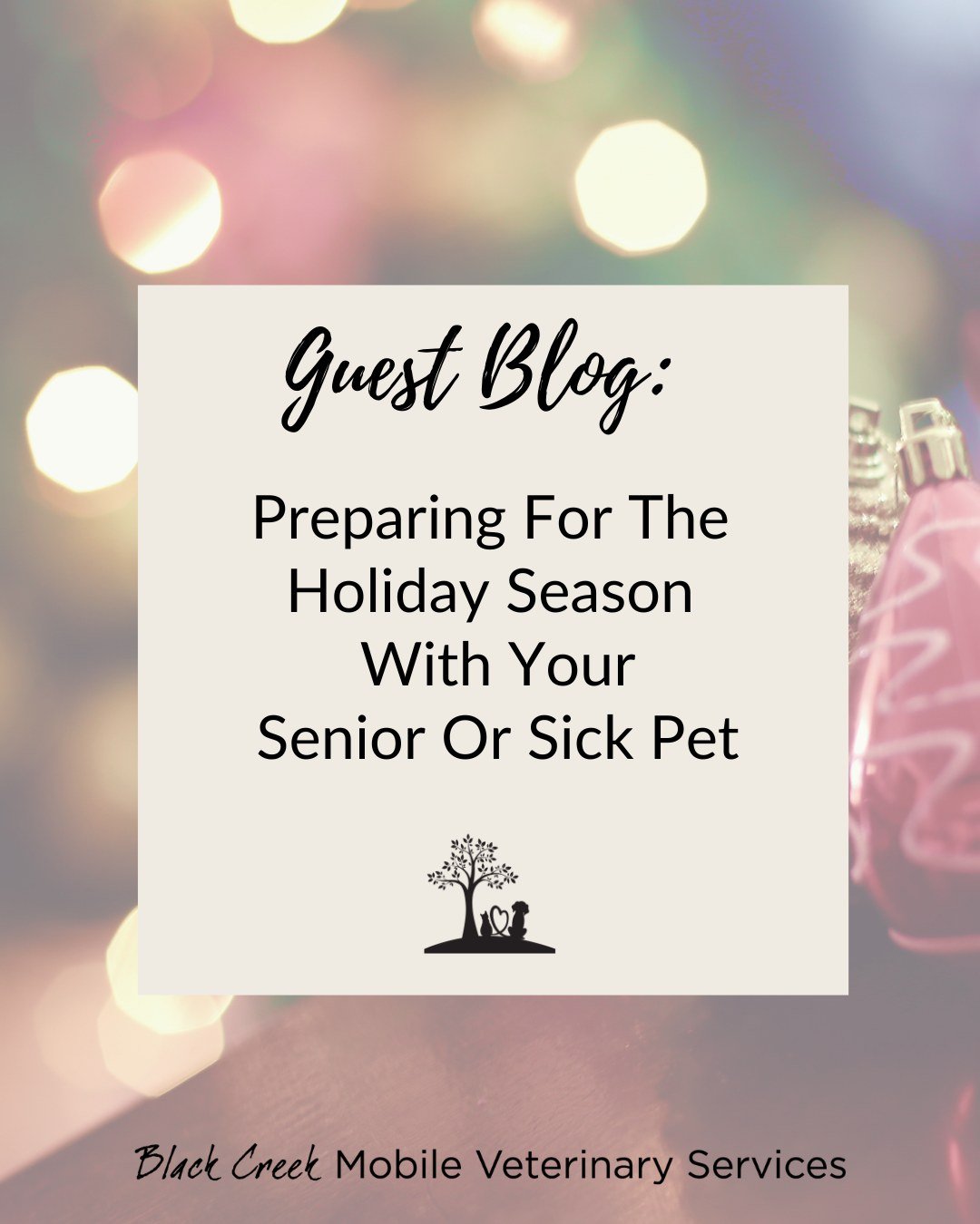 𝑊𝑒&rsquo;𝑟𝑒 𝑟𝑒-𝑠ℎ𝑎𝑟𝑖𝑛𝑔 𝑜𝑛𝑒 𝑜𝑓 𝑜𝑢𝑟 𝑓𝑎𝑣𝑜𝑢𝑟𝑖𝑡𝑒 𝑔𝑢𝑒𝑠𝑡 𝑏𝑙𝑜𝑔𝑠 𝑏𝑒𝑐𝑎𝑢𝑠𝑒 𝑖𝑡&rsquo;𝑠 𝑠𝑢𝑐ℎ 𝑎𝑛 𝑖𝑚𝑝𝑜𝑟𝑡𝑎𝑛𝑡 𝑟𝑒𝑚𝑖𝑛𝑑𝑒𝑟 𝑓𝑜𝑟 𝑎𝑛𝑦𝑜𝑛𝑒 𝑤𝑖𝑡ℎ 𝑎 𝑠𝑒𝑛𝑖𝑜𝑟 𝑜𝑟 𝑠𝑖𝑐𝑘 𝑝𝑒𝑡. 𝑇ℎ𝑒 ℎ𝑜𝑙