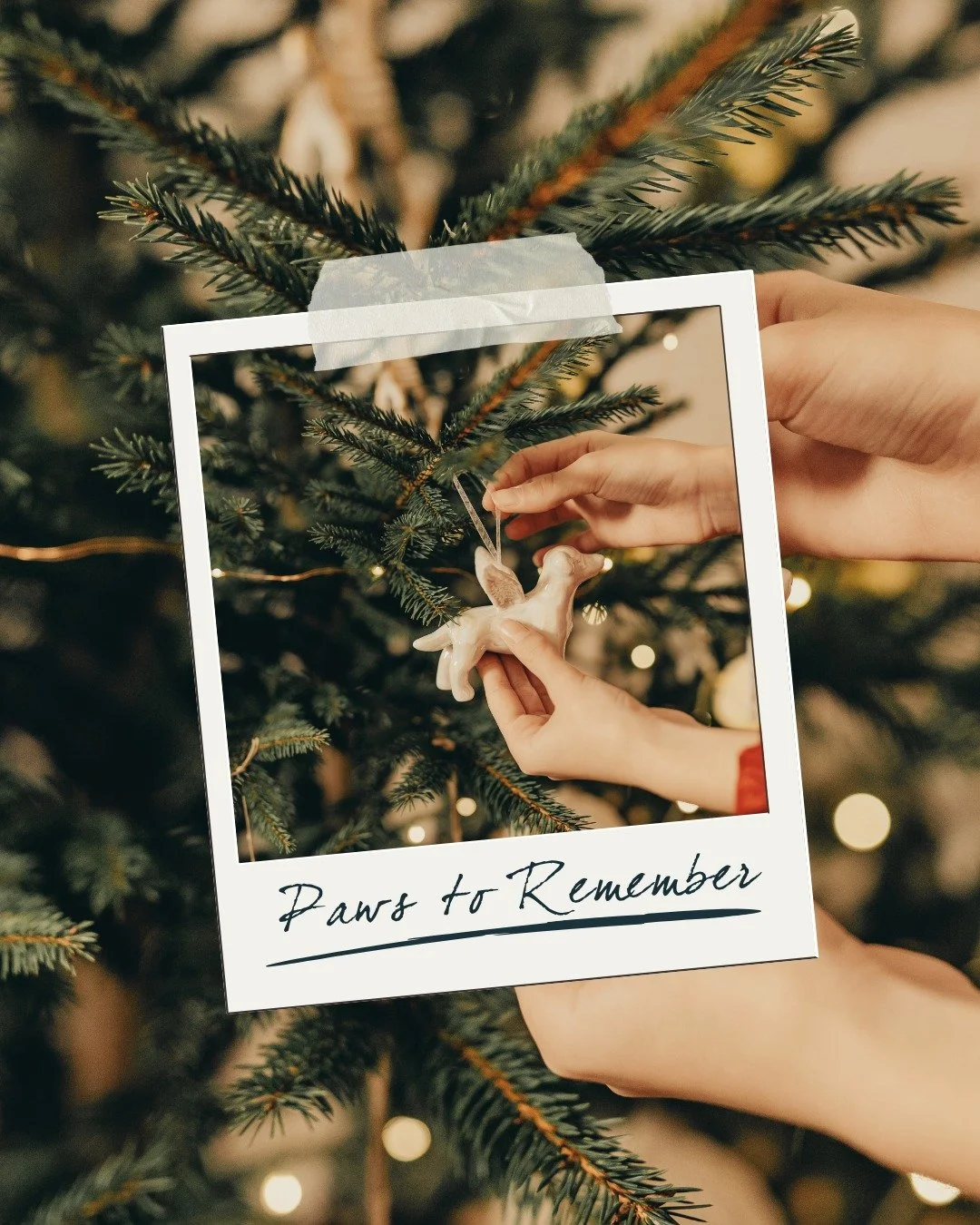 🎄This season can stir up a lot of emotions when a cherished pet is missing from your traditions. Taking a moment to &ldquo;paws to remember&rdquo; honours the bond that changed your life.

If you&rsquo;re grieving a pet this year, or carrying the me