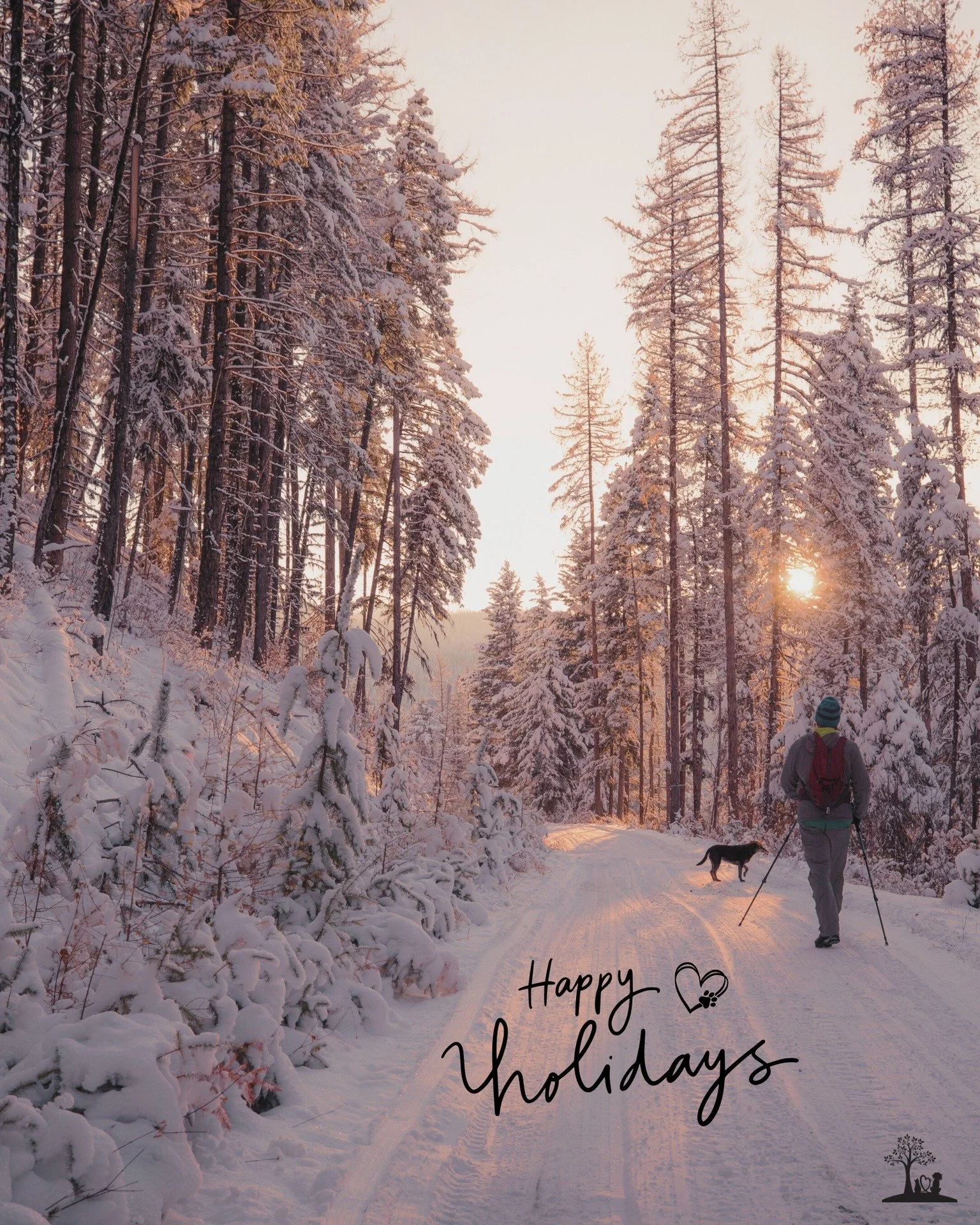 Wishing all of our pet families, friends, families, and community a Merry Christmas and happy holidays ❄️🤍

We know this season can carry a quiet heaviness, especially when a beloved companion or special someone is no longer here to share it with yo