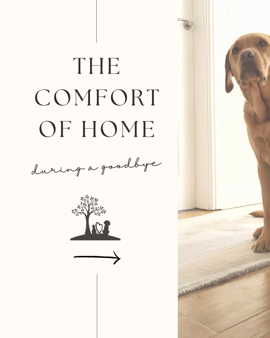 Many families choose an at-home goodbye because home allows for something that&rsquo;s hard to find elsewhere: space for added comfort.

Space for more time &mdash; without rushing or pressure.
Space for privacy &mdash; to grieve openly, together.
Sp