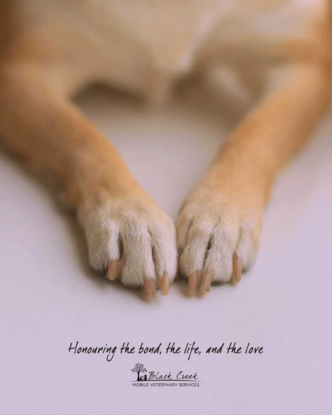 𝐴𝑠 𝑤𝑒 𝑔𝑒𝑛𝑡𝑙𝑦 𝑠𝑡𝑒𝑝 𝑖𝑛𝑡𝑜 2026, 𝑤𝑒&rsquo;𝑟𝑒 ℎ𝑜𝑙𝑑𝑖𝑛𝑔 𝑠𝑝𝑎𝑐𝑒 𝑓𝑜𝑟 𝑒𝑣𝑒𝑟𝑦𝑡ℎ𝑖𝑛𝑔 𝑡ℎ𝑖𝑠 𝑛𝑒𝑤 𝑦𝑒𝑎𝑟 𝑚𝑎𝑦 𝑏𝑟𝑖𝑛𝑔.

𝐼𝑓 𝑡ℎ𝑖𝑠 𝑦𝑒𝑎𝑟 𝑏𝑒𝑔𝑖𝑛𝑠 𝑤𝑖𝑡ℎ 𝑔𝑟𝑖𝑒𝑓, 𝑚𝑜𝑣𝑒 𝑠𝑙𝑜𝑤𝑙𝑦 𝑎𝑛𝑑 𝑏𝑒 𝑘