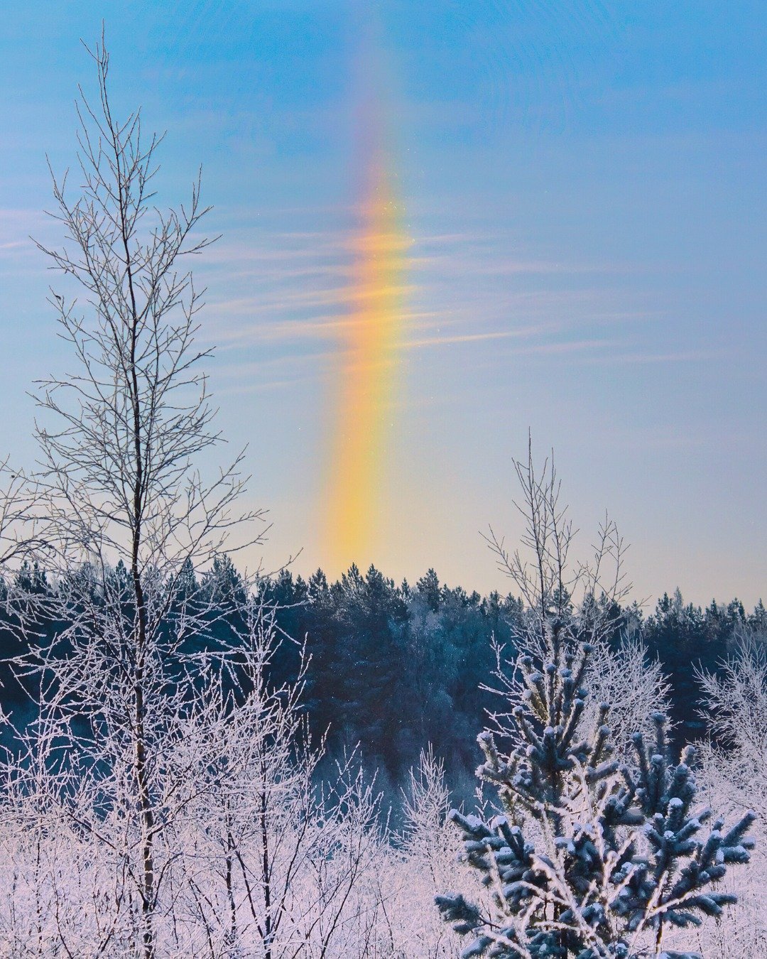 Look for the light. Look for the love. Sometimes it shows up as a memory, sometimes as a sign &mdash; like a rainbow reminding you that your beloved pet is still part of your story. 🌈🐾

#LookingForTheLight #LoveNeverLeaves #RainbowMoments #Remember