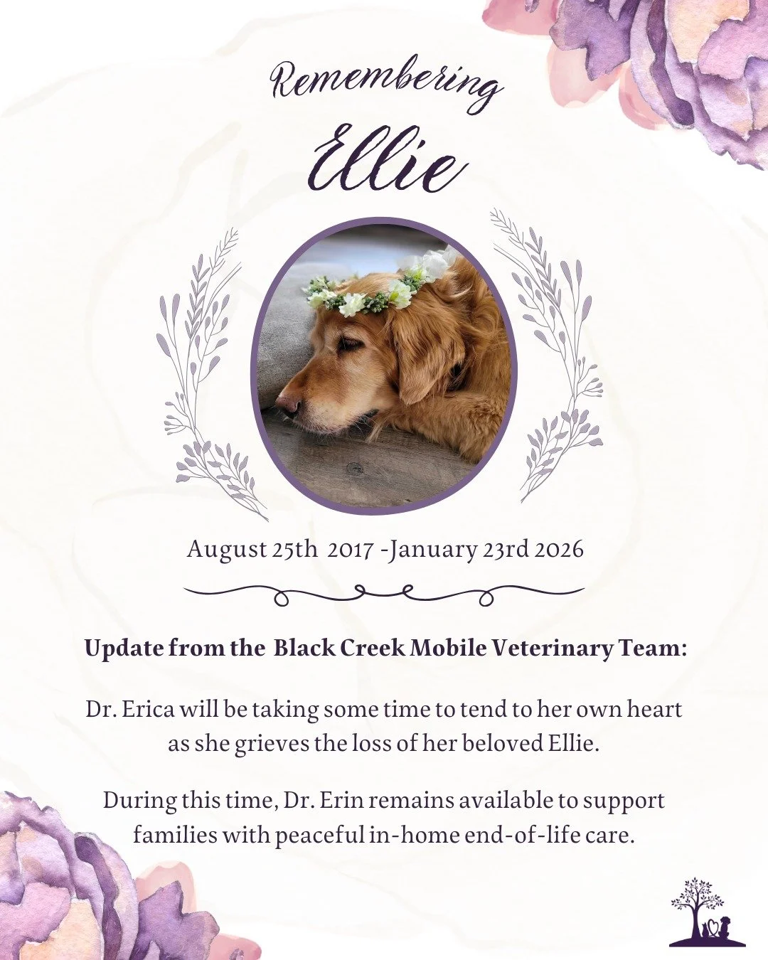 With heavy hearts, we want to share an important update with our community. 🌈 💔

Dr. Erica will be taking a few weeks to tend to her own heart as she grieves the loss of her beloved Ellie, surrounded by the love of her family. This time away is an 