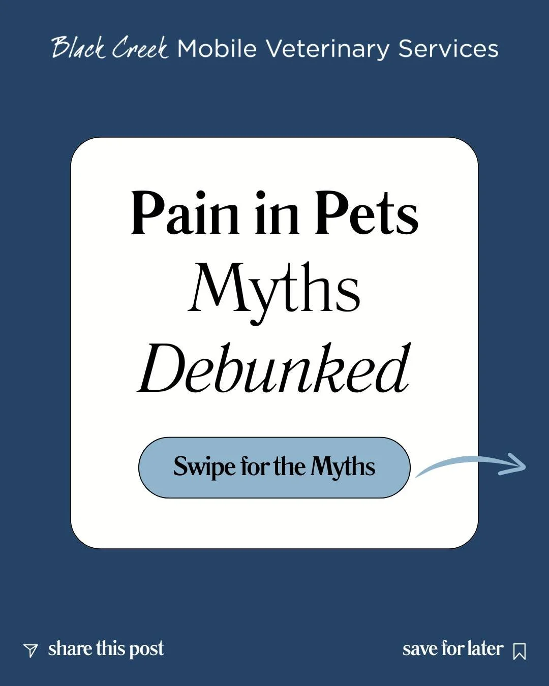 𝐖𝐡𝐞𝐧 𝐩𝐞𝐭 𝐟𝐚𝐦𝐢𝐥𝐢𝐞𝐬 𝐫𝐞𝐚𝐜𝐡 𝐨𝐮𝐭 𝐭𝐨 𝐮𝐬, 𝐨𝐧𝐞 𝐨𝐟 𝐭𝐡𝐞 𝐦𝐨𝐬𝐭 𝐜𝐨𝐦𝐦𝐨𝐧 𝐭𝐡𝐢𝐧𝐠𝐬 𝐰𝐞 𝐡𝐞𝐚𝐫 𝐢𝐬 𝐮𝐧𝐜𝐞𝐫𝐭𝐚𝐢𝐧𝐭𝐲. 😞

Could my pet be in pain? Is this normal? Am I overthinking it? Could pain medication he