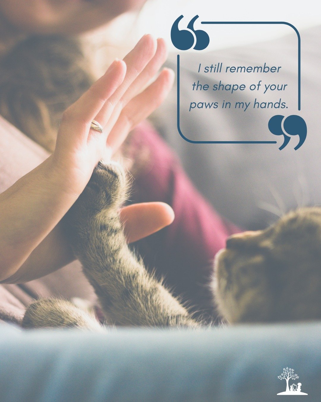 💜 Thoughtful Thursday 🤍

Some memories stay with us in the smallest details.

"I still remember the shape of your paw in my hands."

#ThoughtfulThursday #CatLove #RememberingYou  #PetGrief #ForeverInMyHeart  #petgriefjourney #griefquotes 