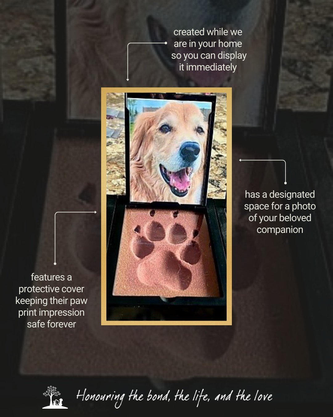 𝐃𝐢𝐝 𝐲𝐨𝐮 𝐤𝐧𝐨𝐰 𝐰𝐞 𝐜𝐚𝐧 𝐜𝐫𝐞𝐚𝐭𝐞 𝐛𝐞𝐚𝐮𝐭𝐢𝐟𝐮𝐥 𝐤𝐞𝐞𝐩𝐬𝐚𝐤𝐞𝐬 𝐫𝐢𝐠𝐡𝐭 𝐢𝐧 𝐲𝐨𝐮𝐫 𝐡𝐨𝐦𝐞? 🤍🐾

𝑆𝑜𝑚𝑒 𝑘𝑒𝑒𝑝𝑠𝑎𝑘𝑒𝑠 𝑡𝑎𝑘𝑒 𝑤𝑒𝑒𝑘𝑠 𝑡𝑜 𝑟𝑒𝑡𝑢𝑟𝑛. 𝑂𝑡ℎ𝑒𝑟𝑠 𝑎𝑟𝑒 𝑚𝑎𝑑𝑒 𝑖𝑛 𝑡ℎ𝑒 𝑞𝑢𝑖𝑒𝑡 𝑚𝑜𝑚