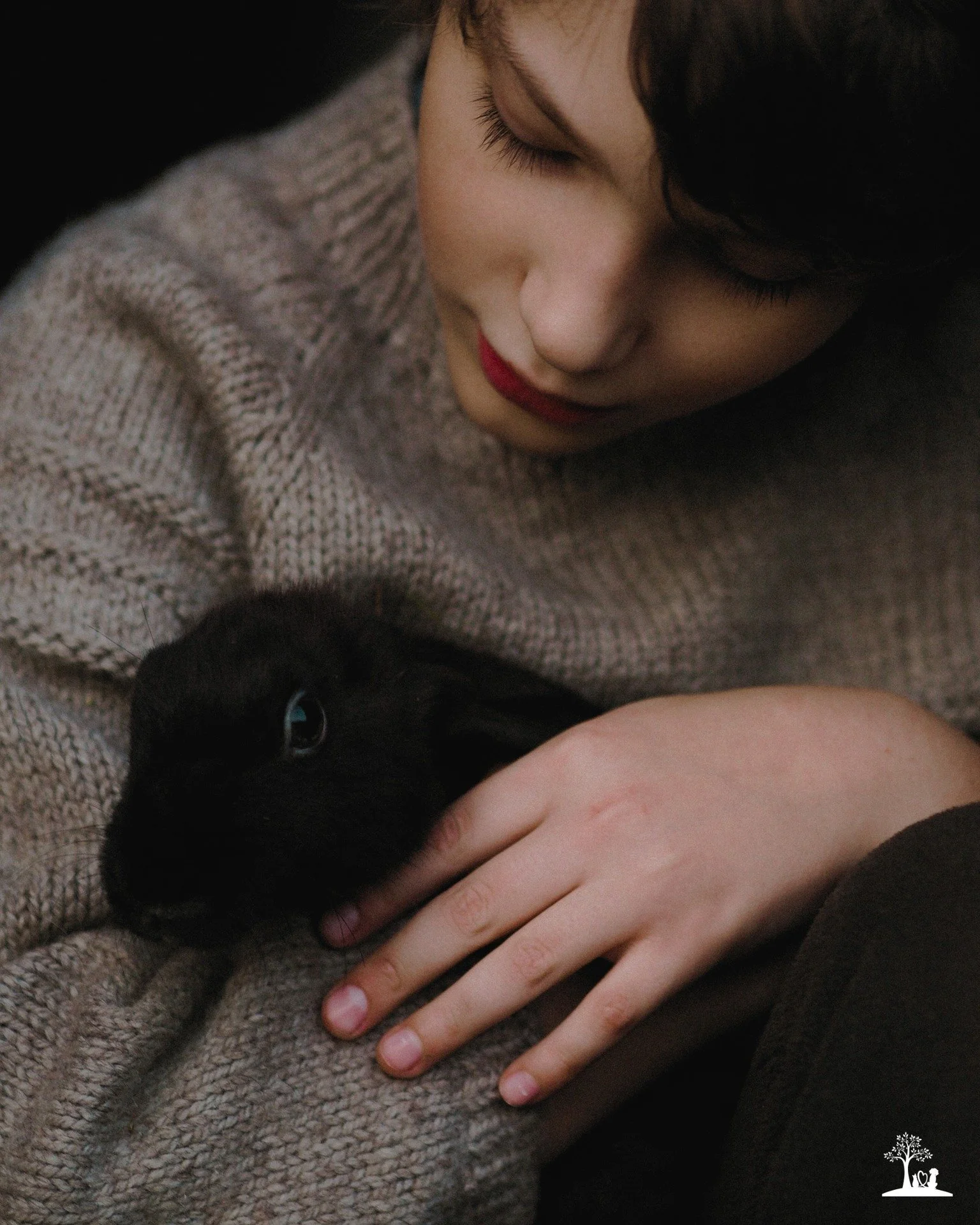 At Black Creek Mobile Veterinary Services, we are honoured to support families not only with dogs and cats, but also with beloved small companion mammals. When the time comes to say goodbye, these gentle souls deserve the same patience, respect, and 