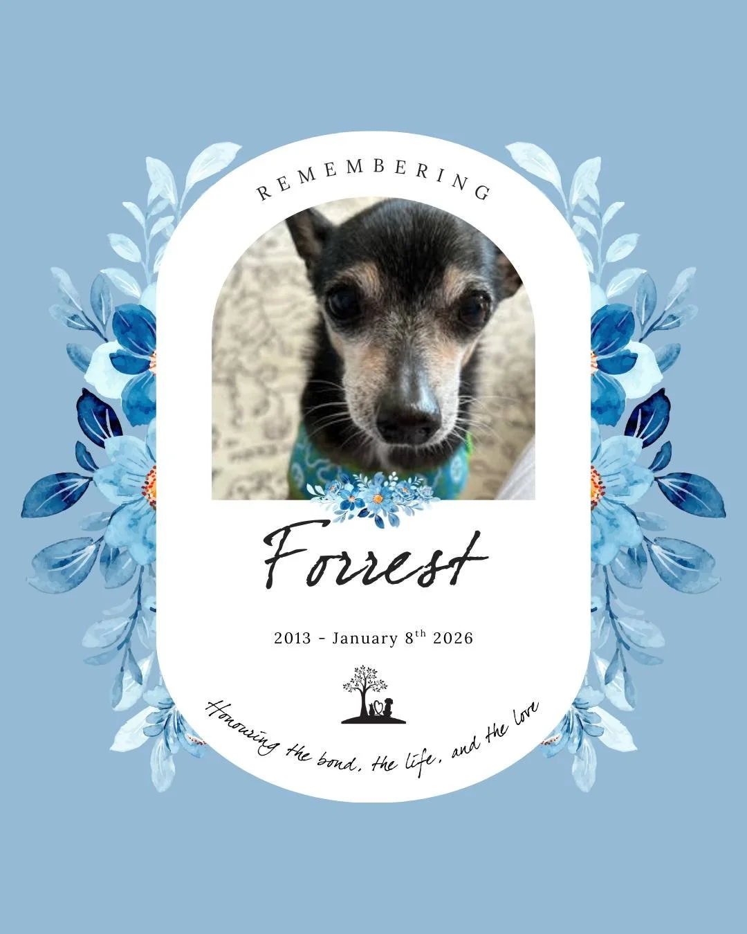#TributeTuesday for little Forrest 🌈 🐾

2013 - January 8th, 2026

Pawprints Left By You

You no longer greet me
as I walk through the door.
You&rsquo;re not there to make me smile,
to make me laugh anymore. 
Life seems quiet without you, 
you were 