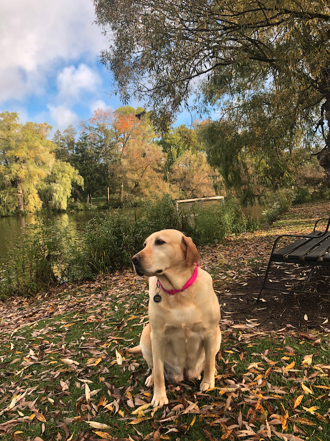 Screenshot 2026-03-03 at 4.10.13 PM.png