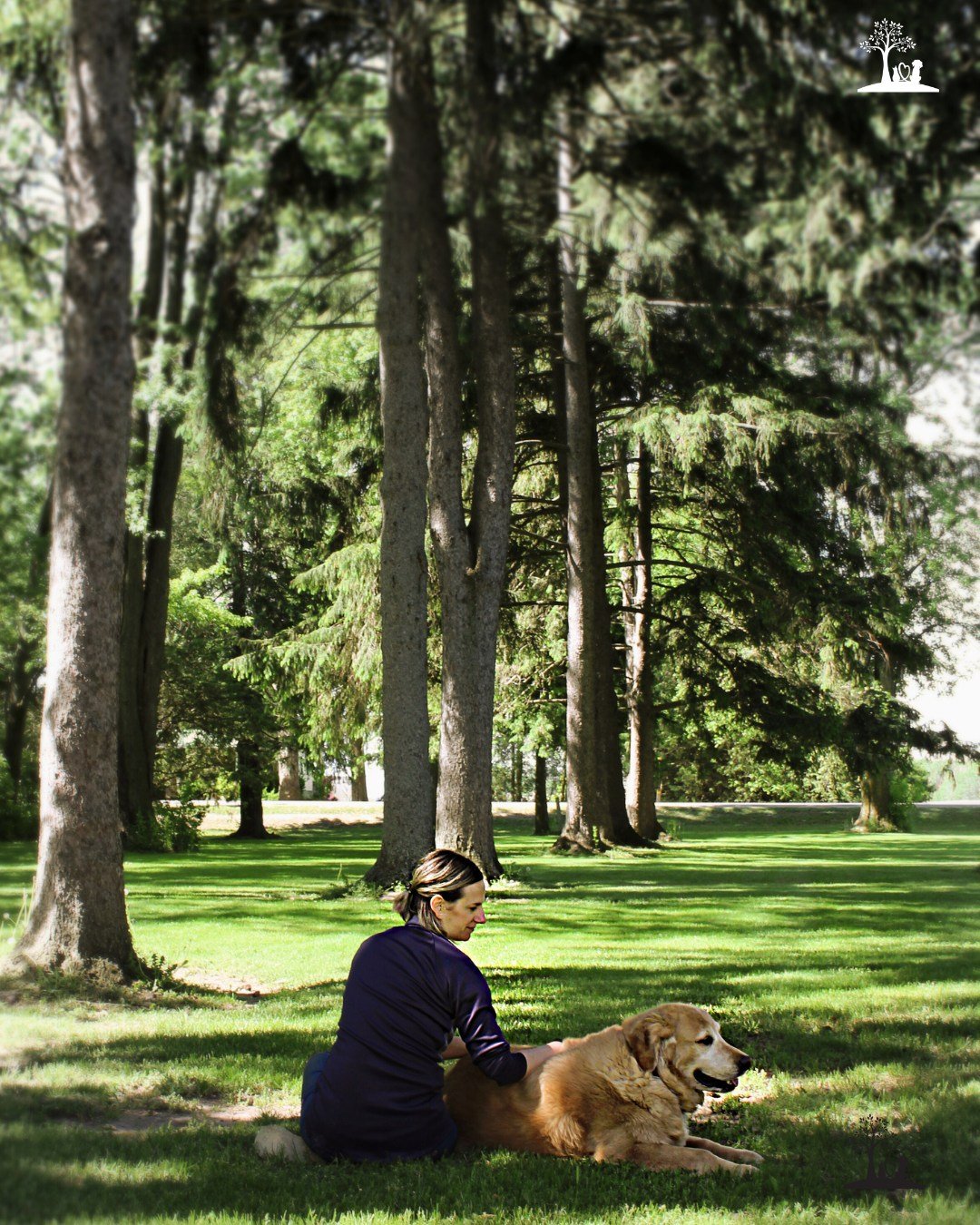 🍀 Happy St. Patrick&rsquo;s Day 🍀

Today we&rsquo;re thinking about the quiet kind of luck &mdash; the kind that greets you at the door, rests its head on your lap, and walks beside you through every season of life.

To love a dog, and to be loved 