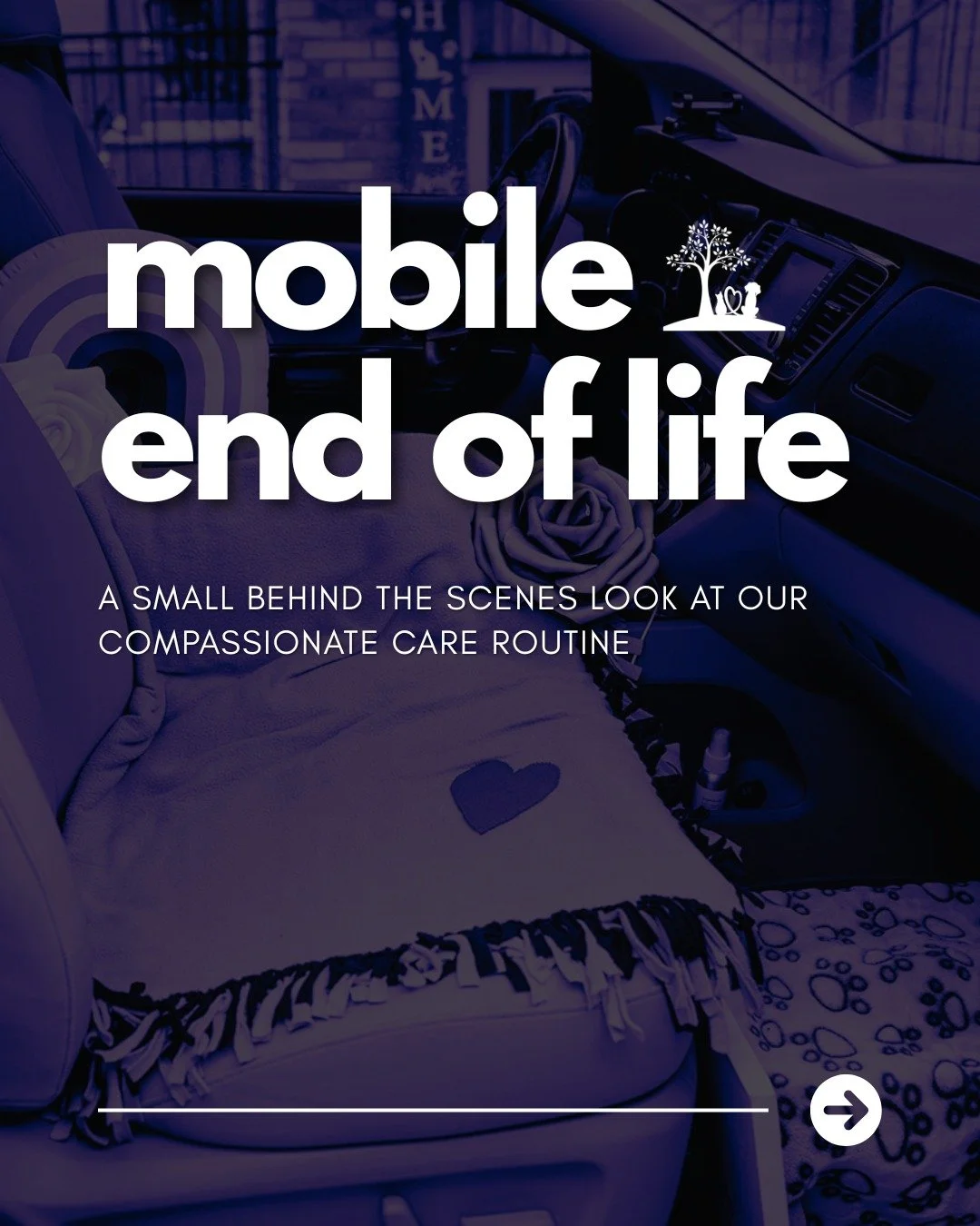 What does a day in the life of a mobile end-of-life veterinarian really look like?

There is a quiet rhythm to this work that many people never see &mdash; moments on the road, thoughtful preparations, and the small acts of care that help loving fami