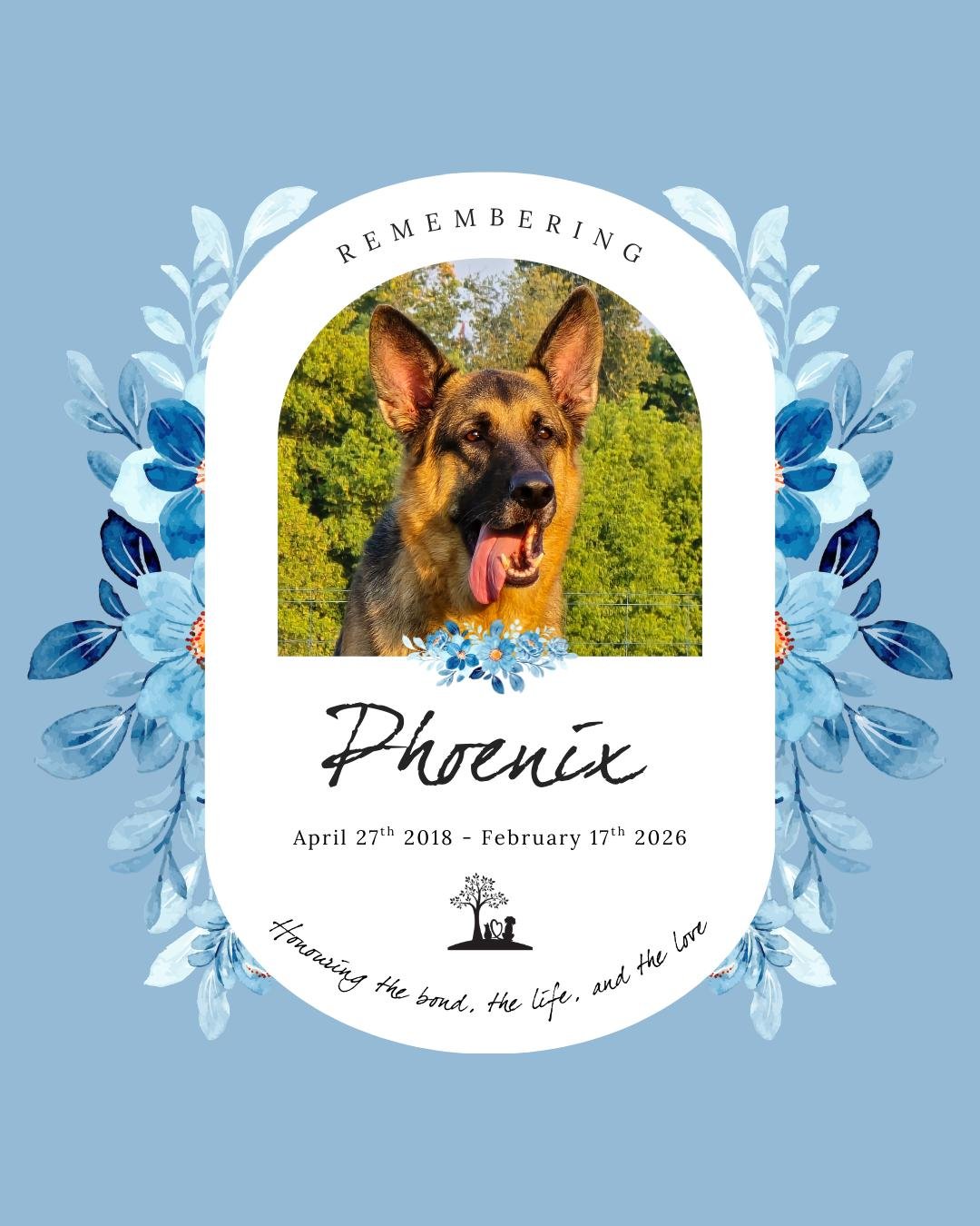 #TributeTuesday In Loving Memory of Phoenix 🐾 🔥

"There are once-in-a-lifetime dogs&hellip; and Phoenix was mine.

He was my best friend, my guardian, my shadow, and the best family dog, through every season of life. Derpy and happy, more coll