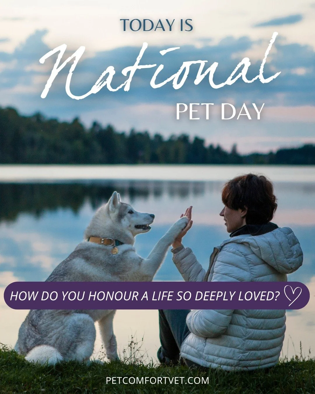 💜 How do you honour a life so deeply loved? 💖

On National Pet Day, we often see joyful photos, wagging tails, and playful moments &mdash; and those matter so much. But for many, this day can also feel quiet&hellip; reflective&hellip; even heavy.

