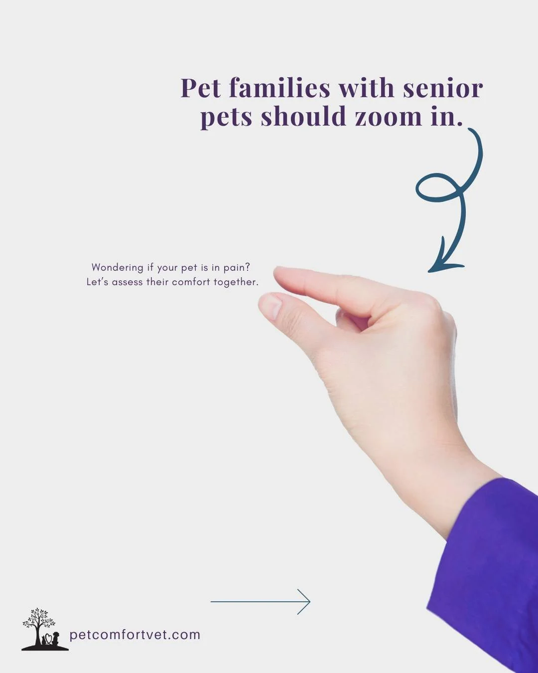 𝐅𝐨𝐫 𝐭𝐡𝐞 𝐨𝐧𝐞𝐬 𝐜𝐚𝐫𝐢𝐧𝐠 𝐟𝐨𝐫 𝐚𝐠𝐢𝐧𝐠 𝐩𝐞𝐭𝐬&hellip;
𝐅𝐨𝐫 𝐭𝐡𝐞 𝐨𝐧𝐞𝐬 𝐚𝐬𝐤𝐢𝐧𝐠 𝐡𝐚𝐫𝐝 𝐪𝐮𝐞𝐬𝐭𝐢𝐨𝐧𝐬&hellip;
𝐅𝐨𝐫 𝐭𝐡𝐞 𝐨𝐧𝐞𝐬 𝐜𝐚𝐫𝐫𝐲𝐢𝐧𝐠 𝐪𝐮𝐢𝐞𝐭 𝐠𝐫𝐢𝐞𝐟 🤍

𝐓𝐡𝐢𝐬 𝐢𝐬 𝐟𝐨𝐫 𝐲𝐨𝐮.💜🐾

𝘐𝘧 𝘺