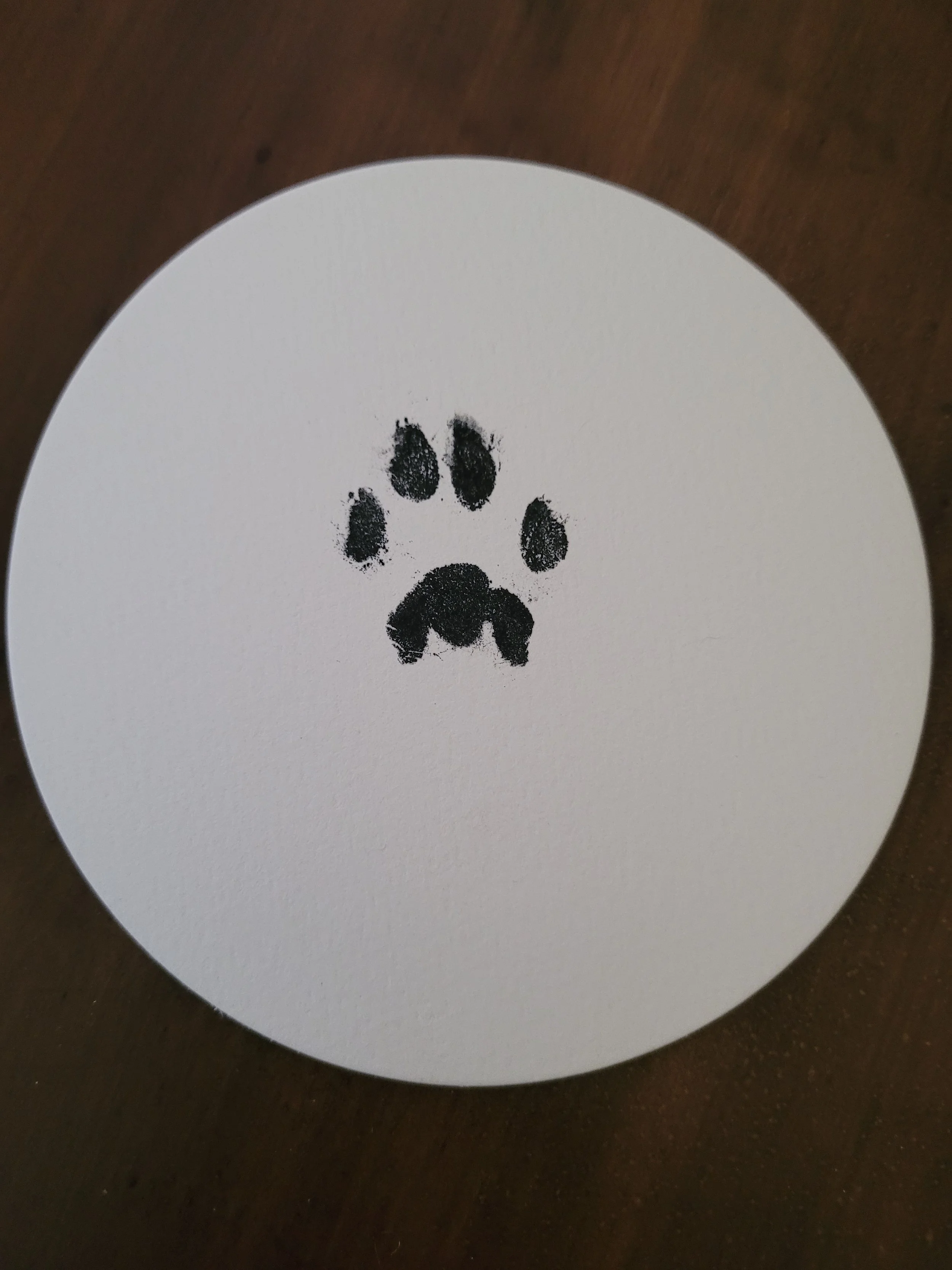 ink cat paw print.jpg