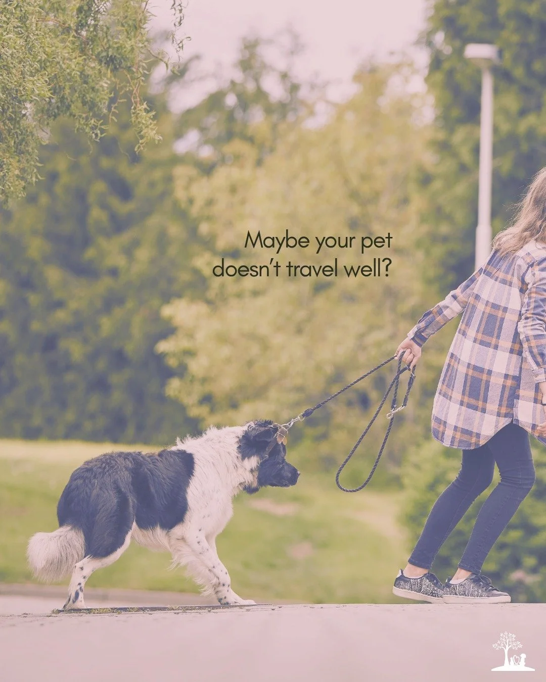 Read this if you have a nervous, fearful, anxious, or painful pet 🤍
We can help create a more peaceful and pain-free goodbye experience.

For many pets, the clinic environment can feel overwhelming &mdash; unfamiliar smells, new people, and the stre