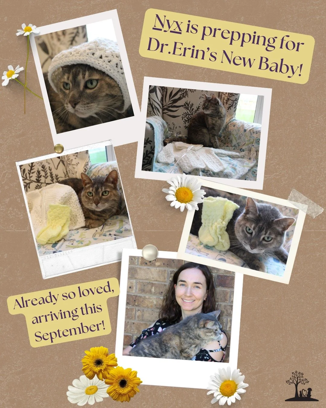 𝐖𝐞&rsquo;𝐫𝐞 𝐧𝐨𝐭 𝐬𝐮𝐫𝐞 𝐡𝐨𝐰 𝐍𝐲𝐱 𝐟𝐞𝐞𝐥𝐬 𝐚𝐛𝐨𝐮𝐭 𝐭𝐡𝐢𝐬&hellip; 🐾💜
&hellip;𝐛𝐮𝐭 𝐰𝐞 𝐜𝐨𝐮𝐥𝐝𝐧&rsquo;𝐭 𝐛𝐞 𝐦𝐨𝐫𝐞 𝐞𝐱𝐜𝐢𝐭𝐞𝐝.

𝘋𝘳. 𝘌𝘳𝘪𝘯 𝘢𝘯𝘥 𝘩𝘦𝘳 𝘧𝘢𝘮𝘪𝘭𝘺 𝘢𝘳𝘦 𝘩𝘢𝘱𝘱𝘺 𝘵𝘰 𝘴𝘩𝘢𝘳𝘦 𝘵𝘩𝘢𝘵 𝘵