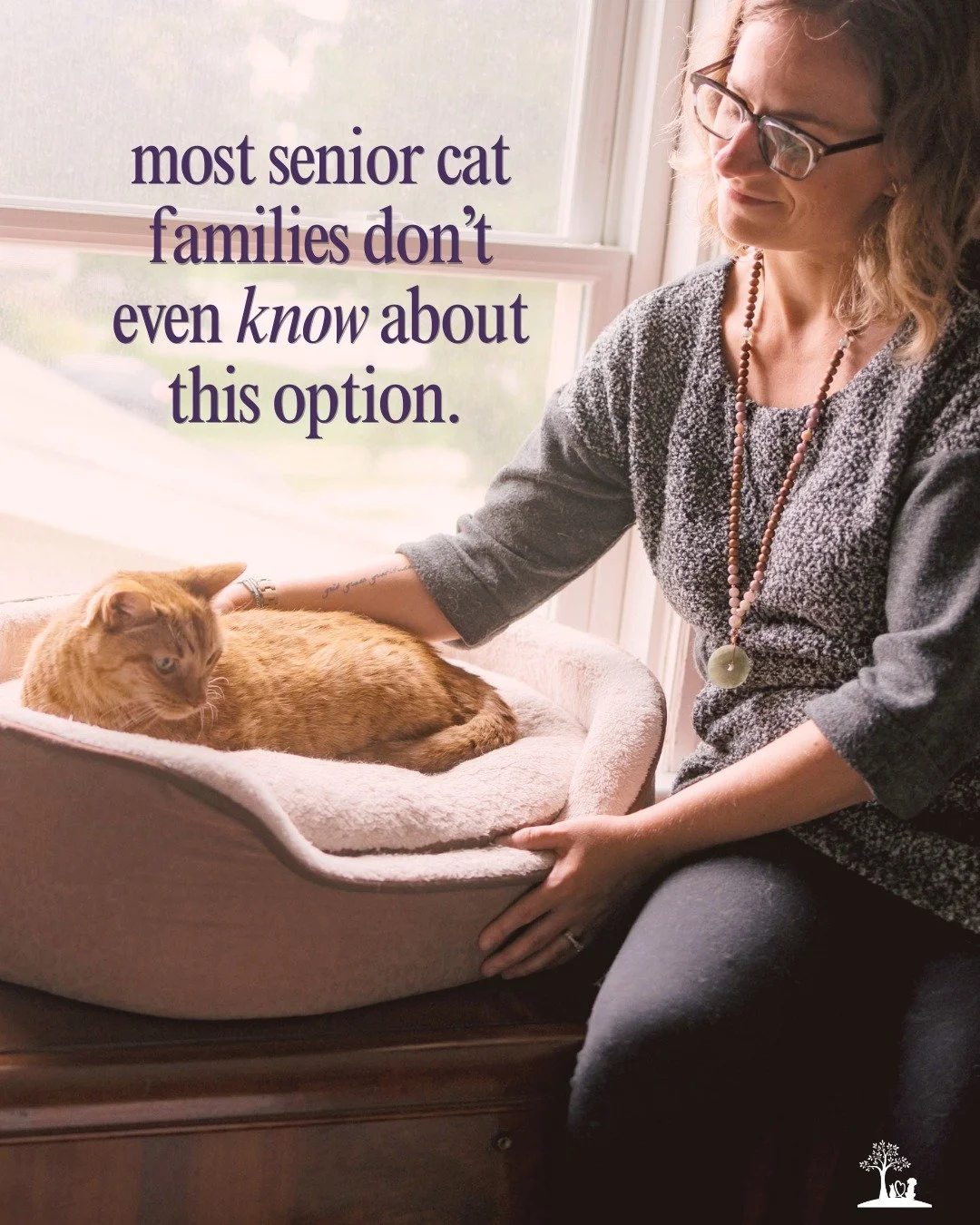 Cats may be small and easy to carry&hellip; but that doesn&rsquo;t mean they&rsquo;re super comfortable with leaving home 🐱

For many cats, the carrier alone can be stressful. 💔 The car ride, the unfamiliar environment, the new smells and sounds &m