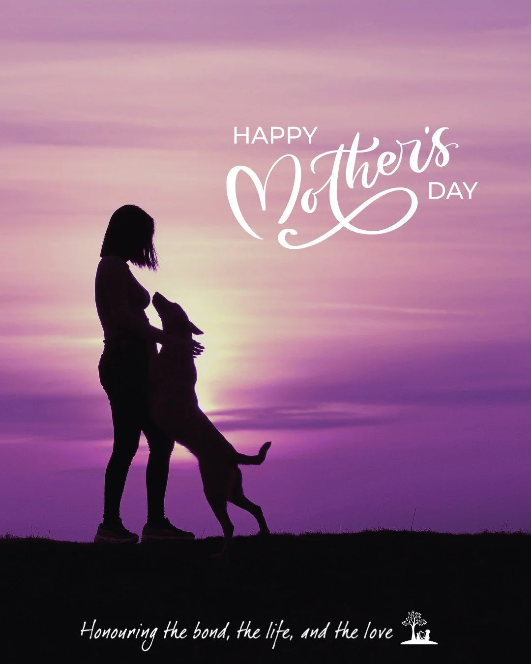 💐 𝗧𝗼 𝘁𝗵𝗲 𝗼𝗻𝗲𝘀 𝘄𝗵𝗼 𝗵𝗮𝘃𝗲 𝗹𝗼𝘃𝗲𝗱, 𝗰𝗮𝗿𝗲𝗱 𝗳𝗼𝗿, 𝗮𝗻𝗱 𝗵𝗲𝗹𝗱 𝘁𝗵𝗲𝗶𝗿 𝗽𝗲𝘁𝘀 𝘁𝗵𝗿𝗼𝘂𝗴𝗵 𝗲𝘃𝗲𝗿𝘆 𝘀𝘁𝗮𝗴𝗲.

𝗧𝗵𝗿𝗼𝘂𝗴𝗵 𝘁𝗵𝗲 𝗽𝗹𝗮𝘆𝗳𝘂𝗹 𝗱𝗮𝘆𝘀, 𝘁𝗵𝗲 𝗾𝘂𝗶𝗲𝘁 𝘆𝗲𝗮𝗿𝘀, 𝗮𝗻𝗱 𝗲𝘃𝗲𝗻 𝘁𝗵𝗲 𝗵𝗮