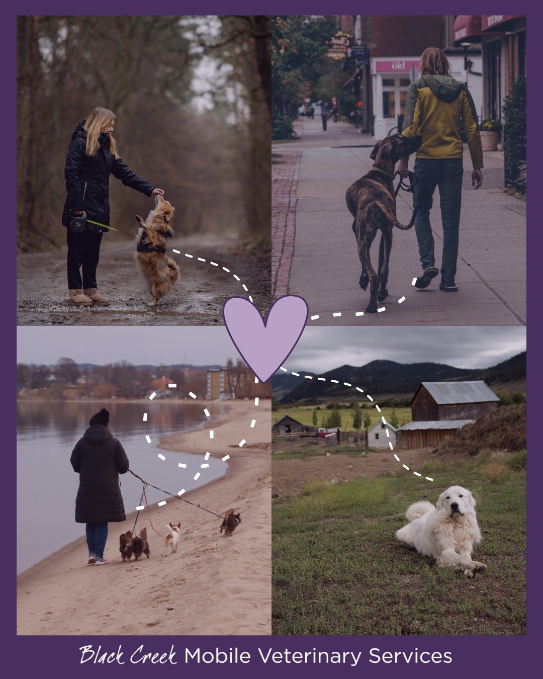 🏠🚐 Not every family can get to the clinic easily&hellip; and not every pet should have to.

Some dogs love the car.
Many don&rsquo;t.

Some families don&rsquo;t drive.
Others live in rural areas, far from their veterinary clinic.

And sometimes&hel