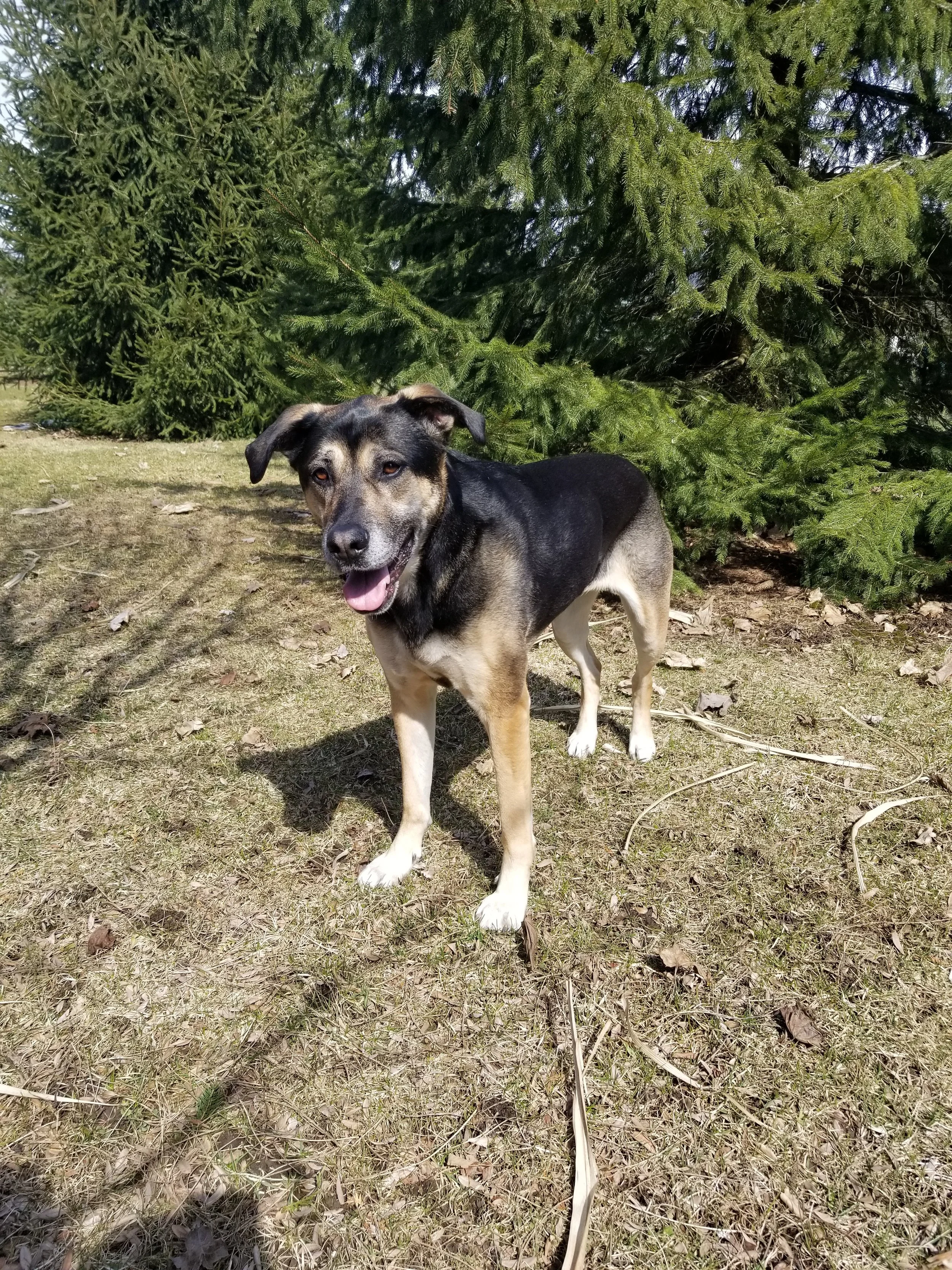 20180412_153711.jpg