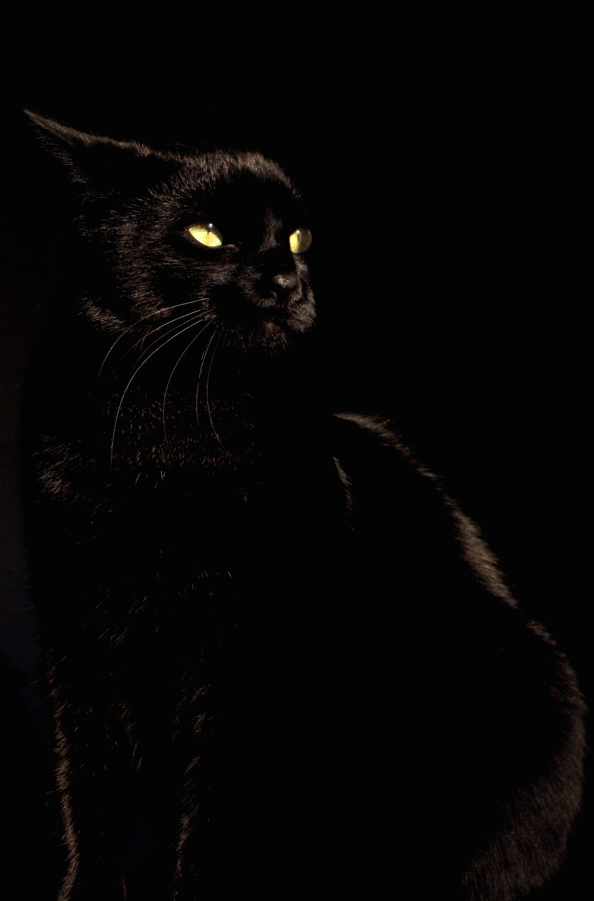Baron 04.JPG