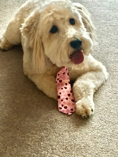 Chester pink tie.jpg