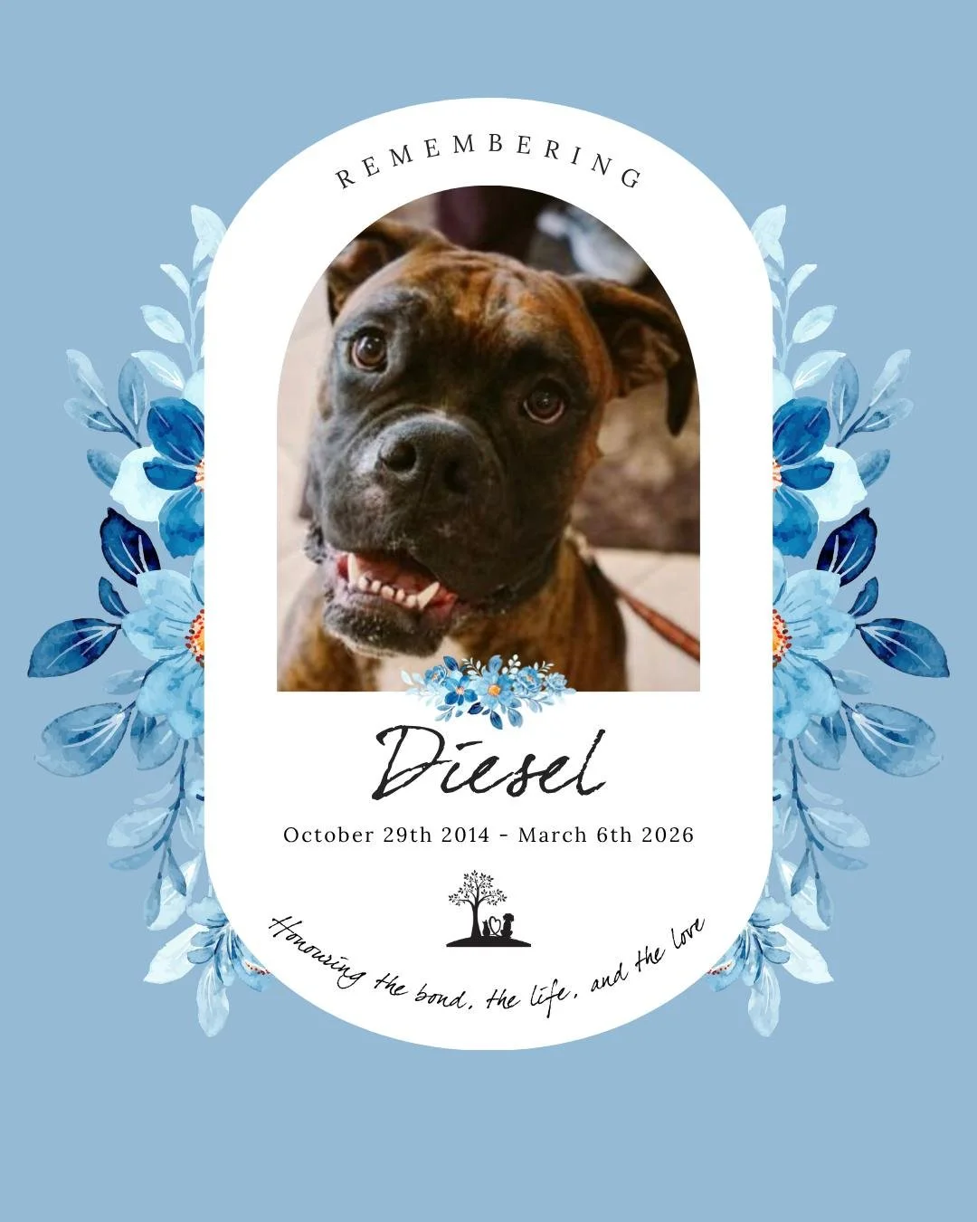 #MemorialMonday in honour of a faithful Boxer named Diesel

My husband and I adopted Diesel when he was a year old. He had already been through 2 owners and had spent months at the shelter where he was frightened and losing weight. He was skin and bo