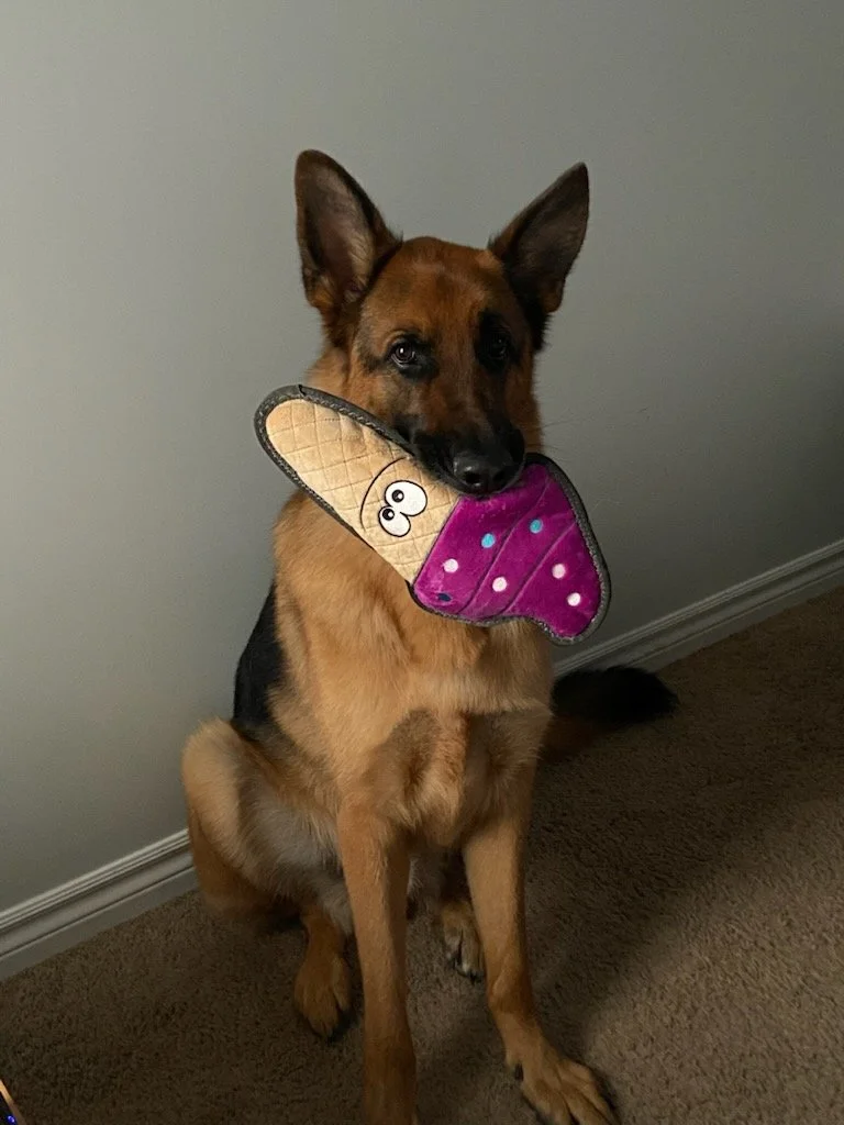 Diesel3.jpg