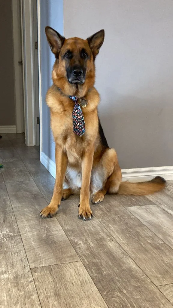 Diesel6.jpg