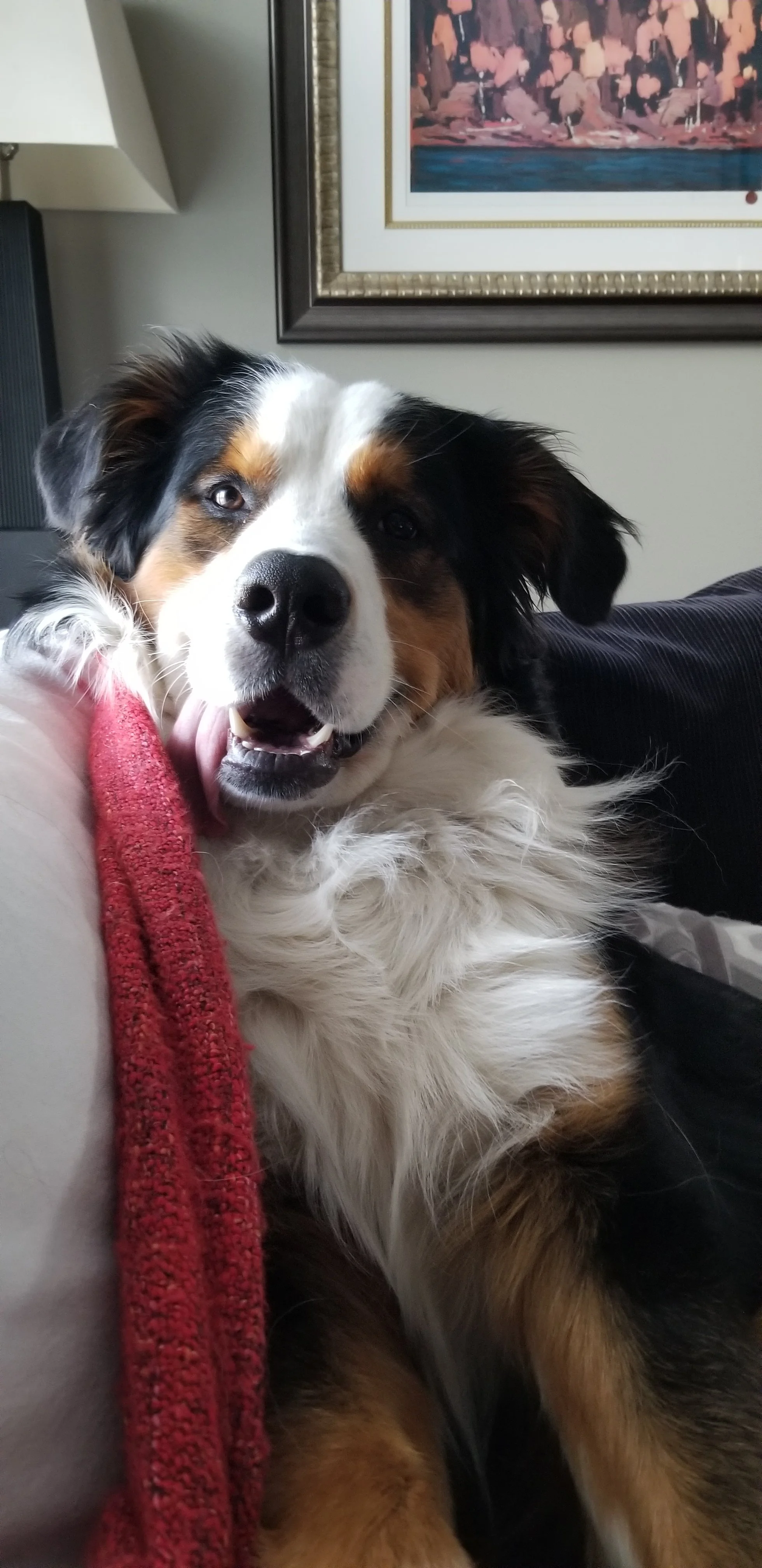 20190413_184306.jpg