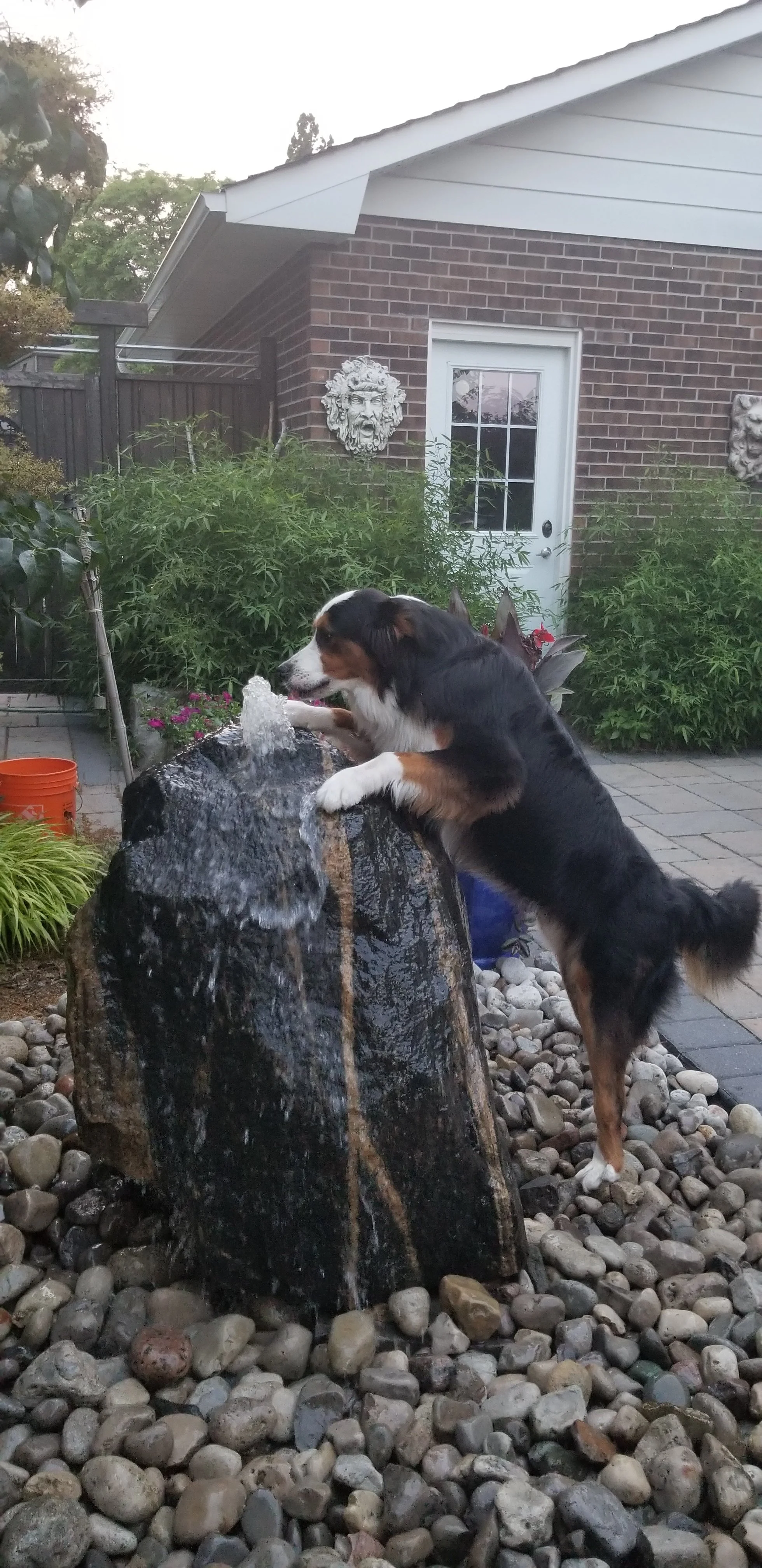 20190707_203903.jpg