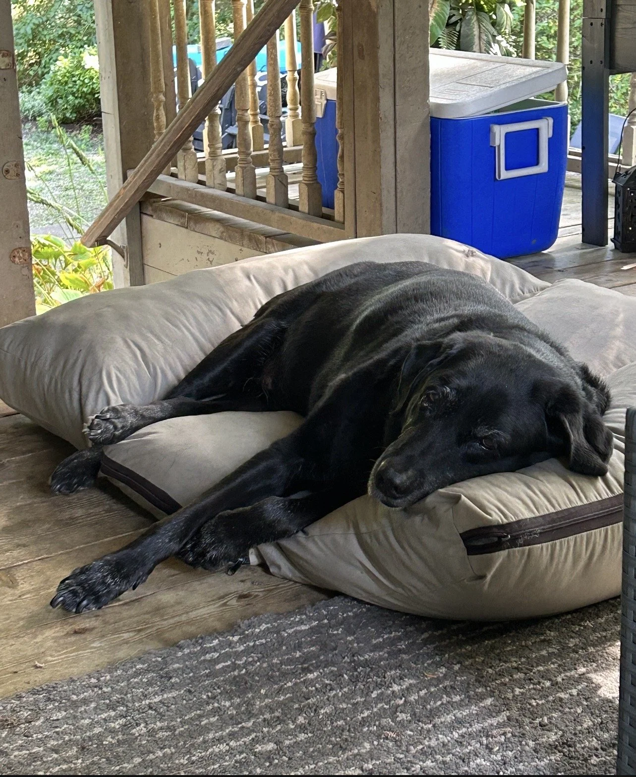 IMG_0776.jpeg