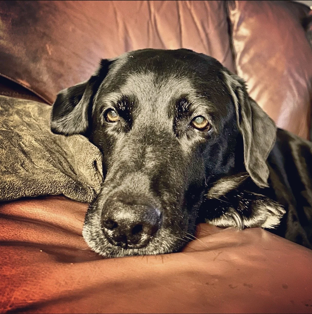 IMG_0808.jpeg
