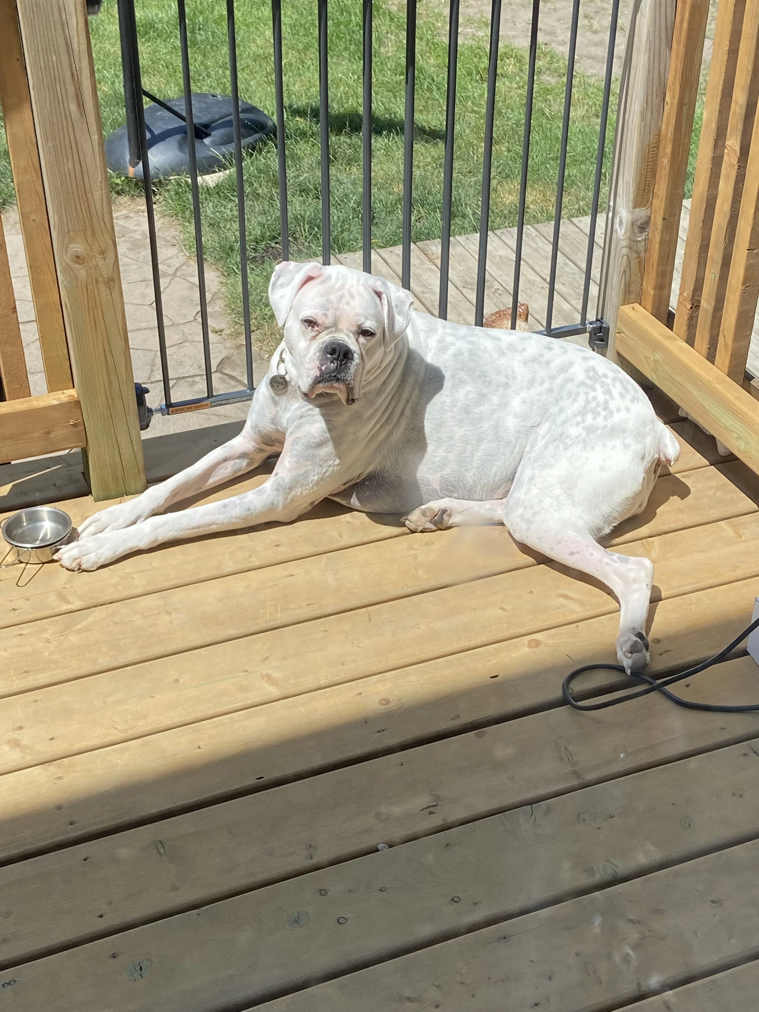 image11.jpeg