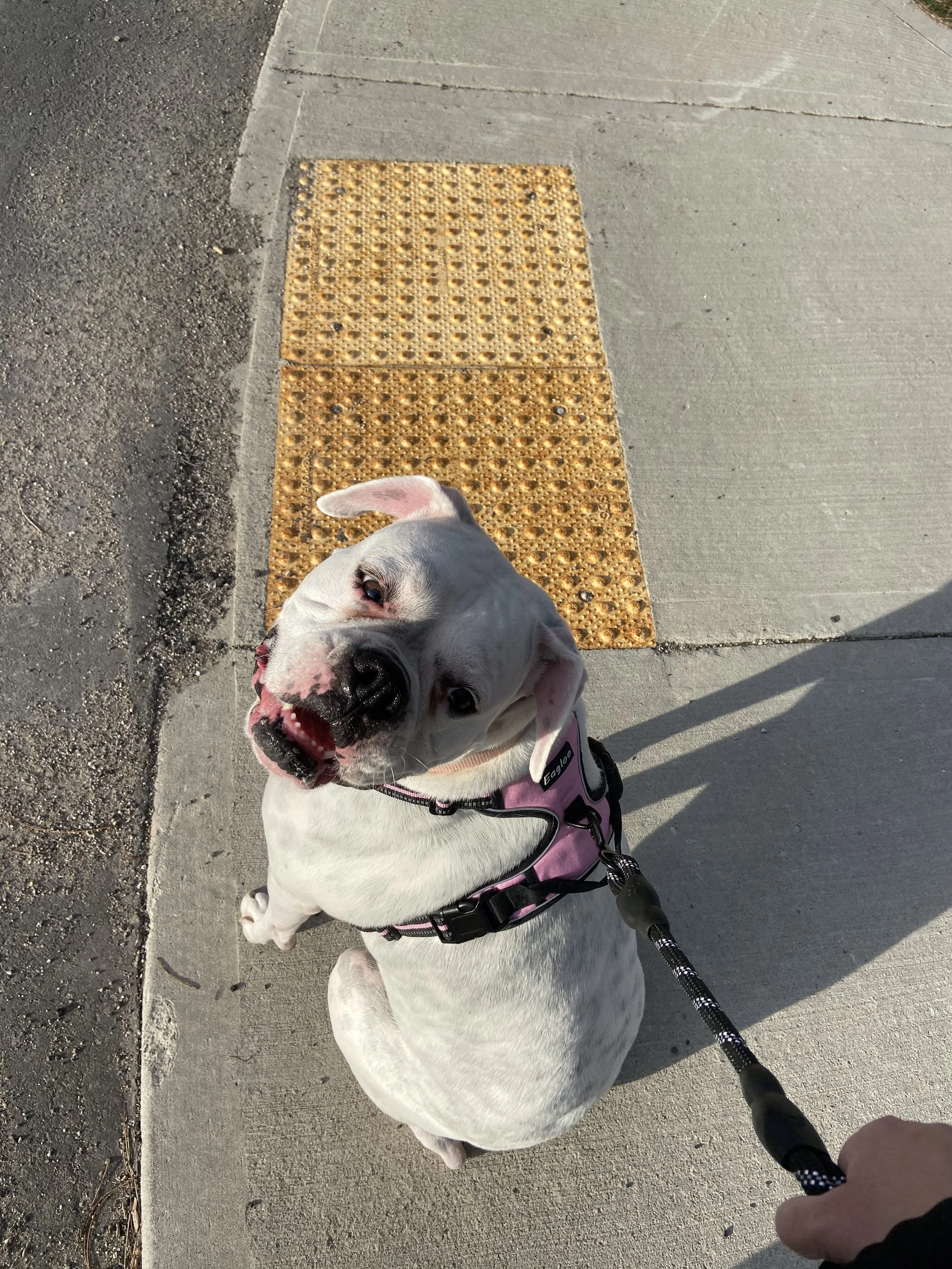 image15.jpeg