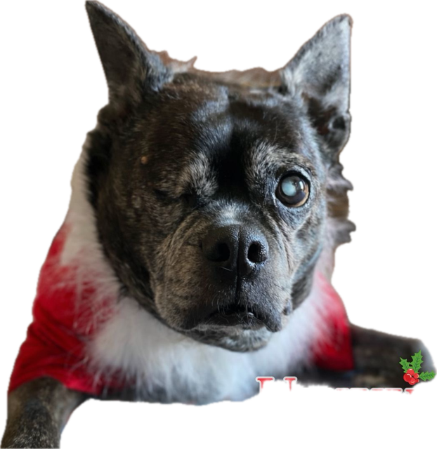 image_2.png