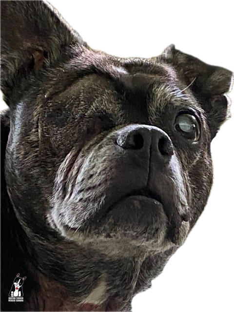 image_3.png