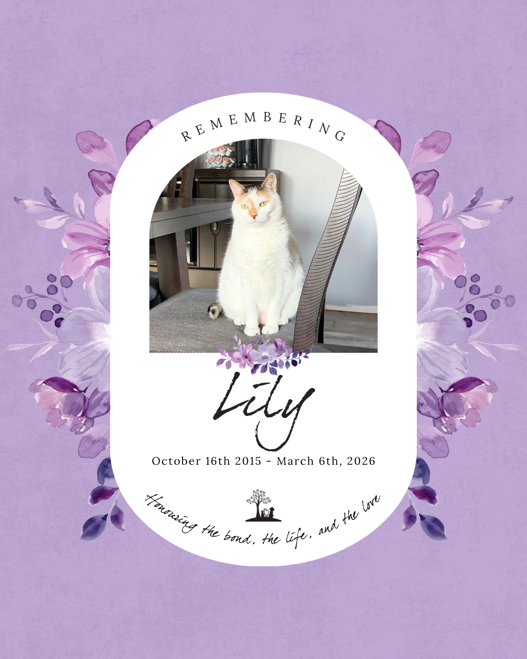 October 16th 2015 - March 6th 2026