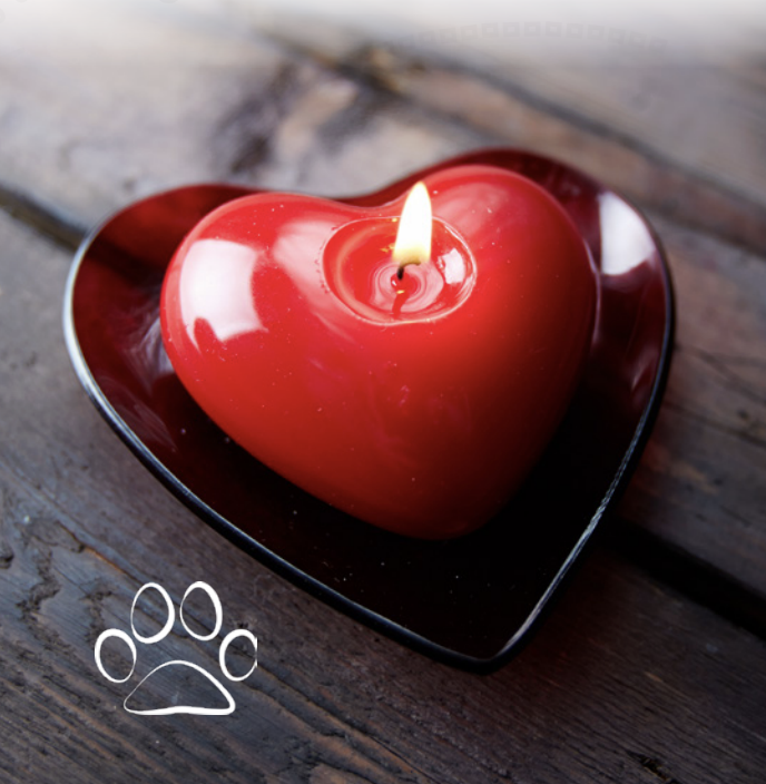 a red heart-shaped candle and a paw print