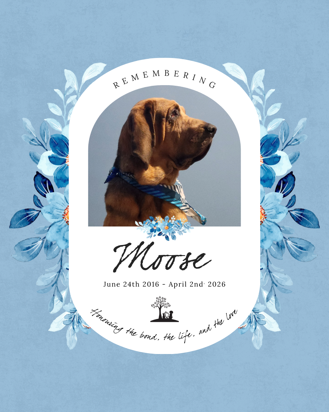 Moose - June 24th 2016 to April 2nd 2026