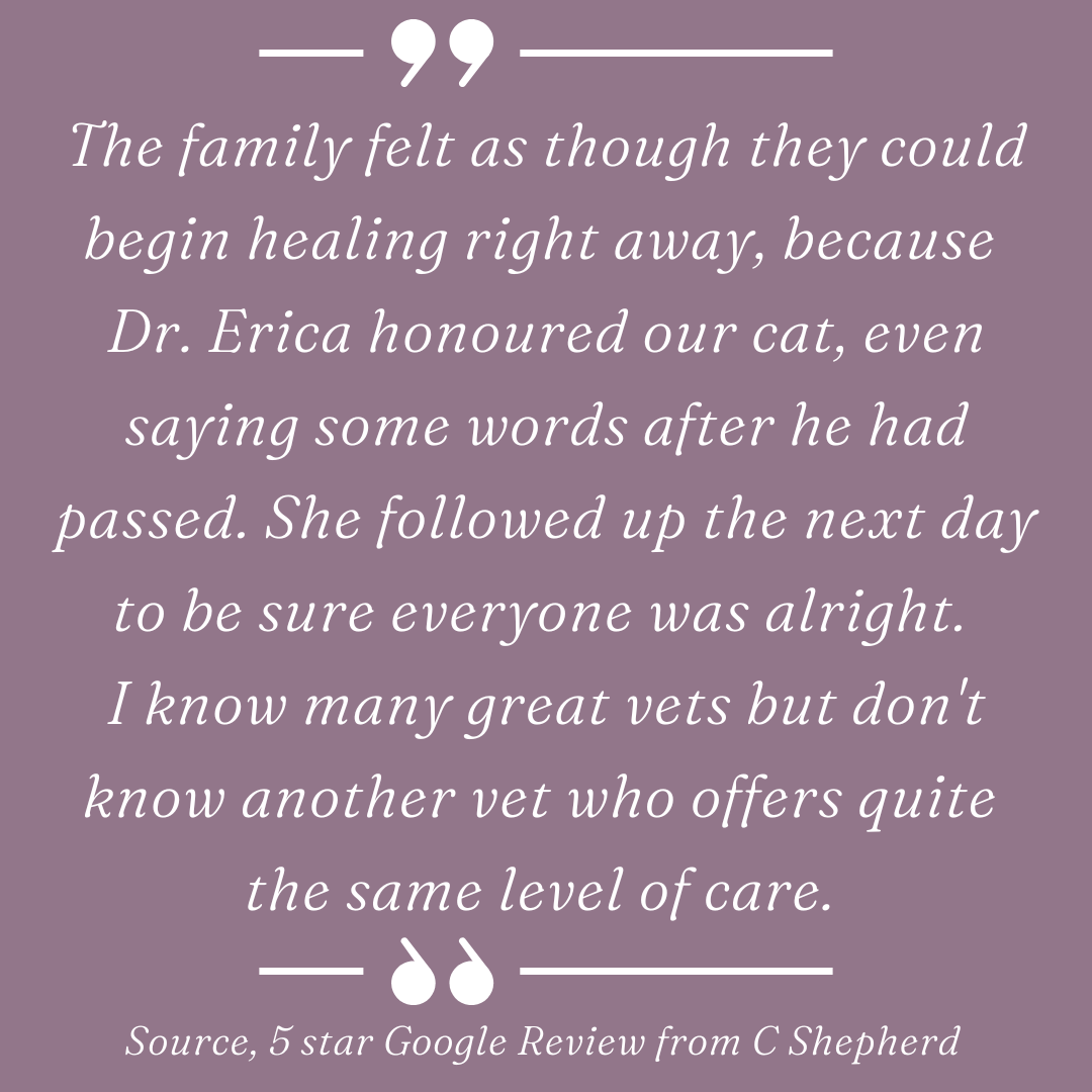 _Testimonials from Clients (11).png