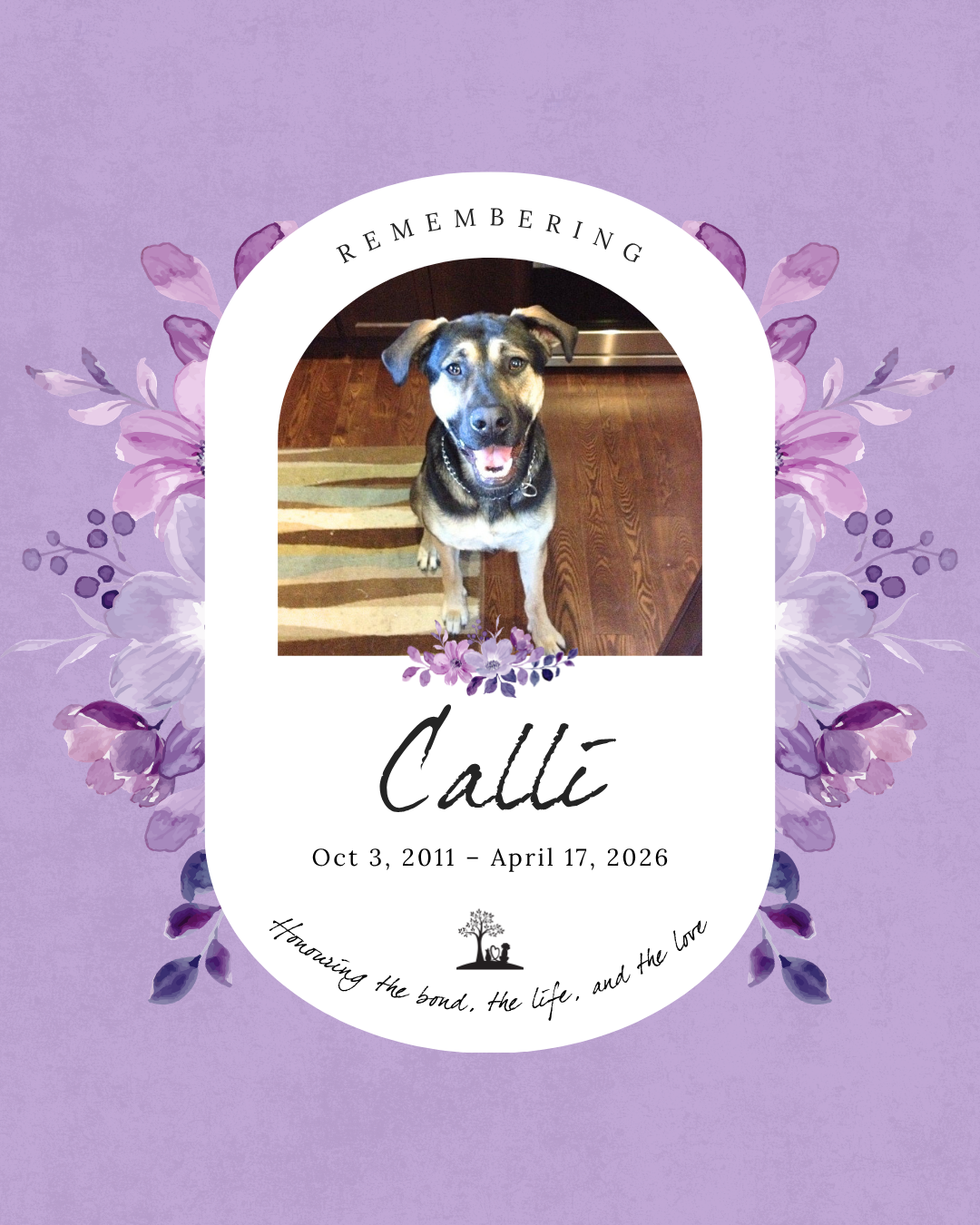 Calli: Oct 3, 2011 – April 17, 2026