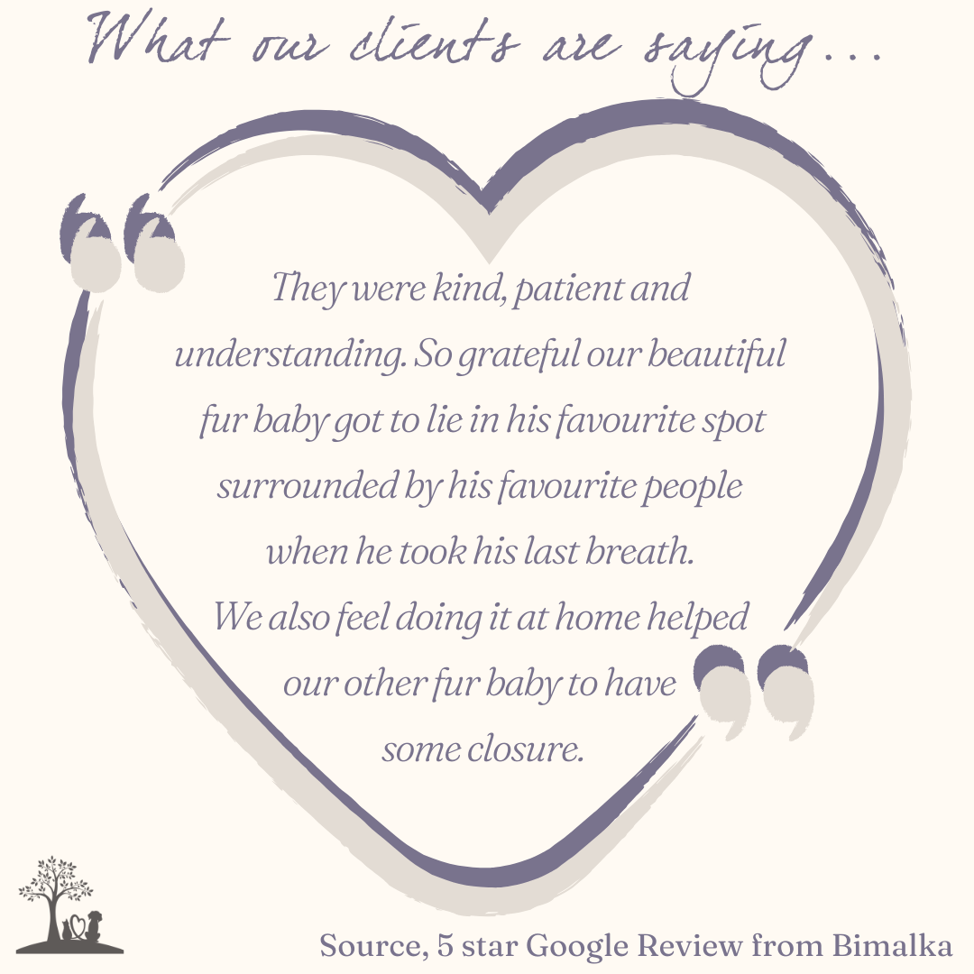 Home Euth experience page (3).png