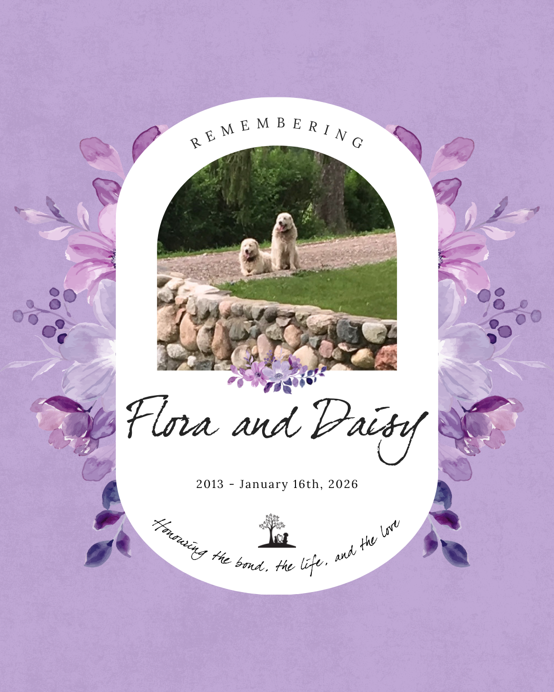 2013 - January 16th 2026