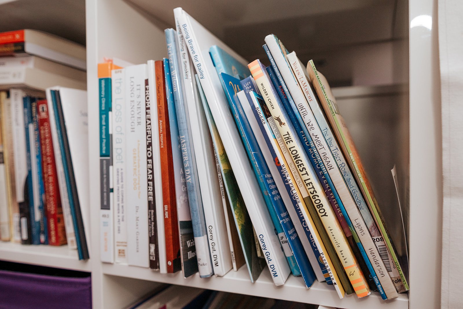 books about losing a pet and pet loss support on a shelf